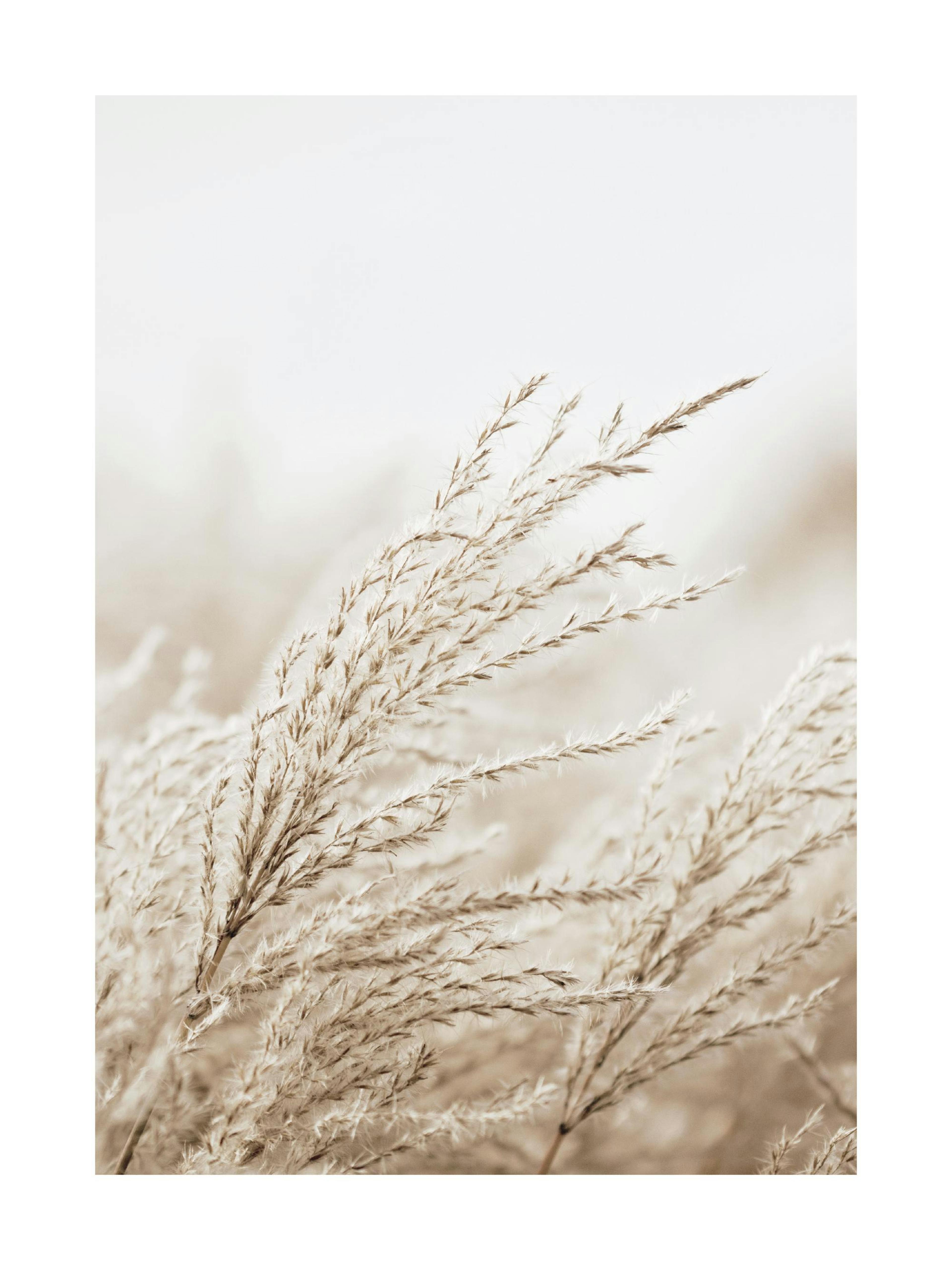 In the Reeds 0