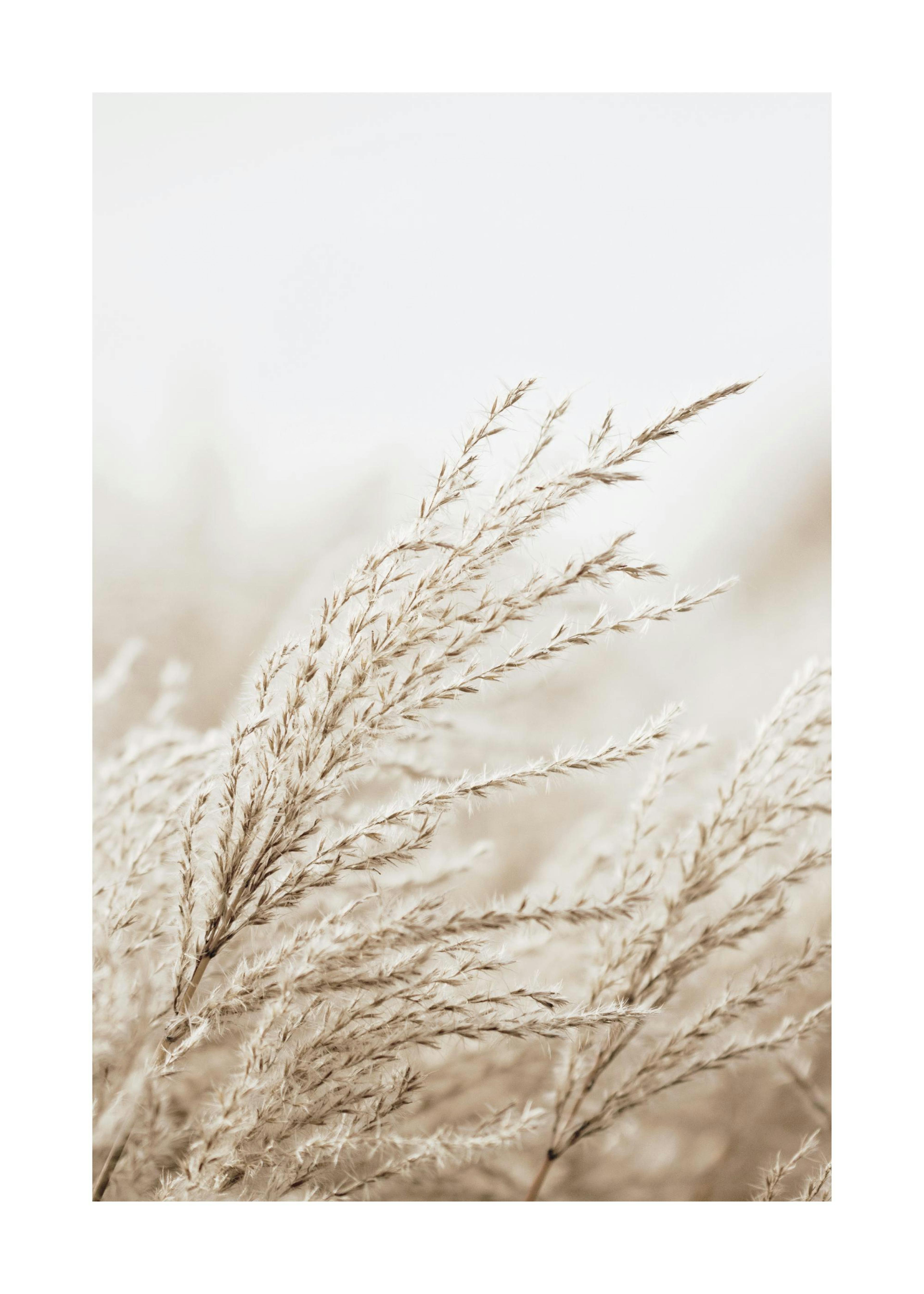 In the Reeds 0