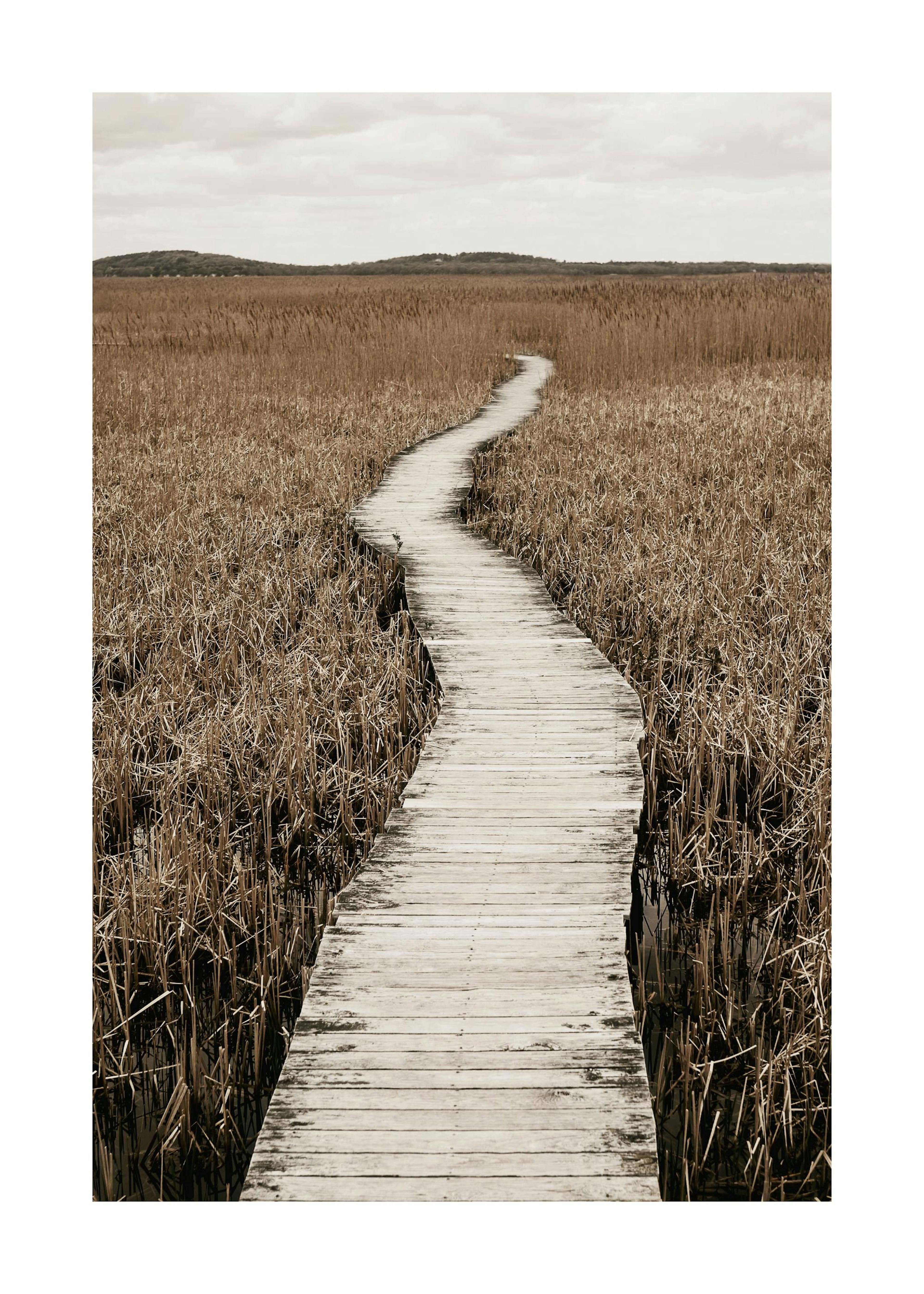 Winding Boardwalk Poster 0