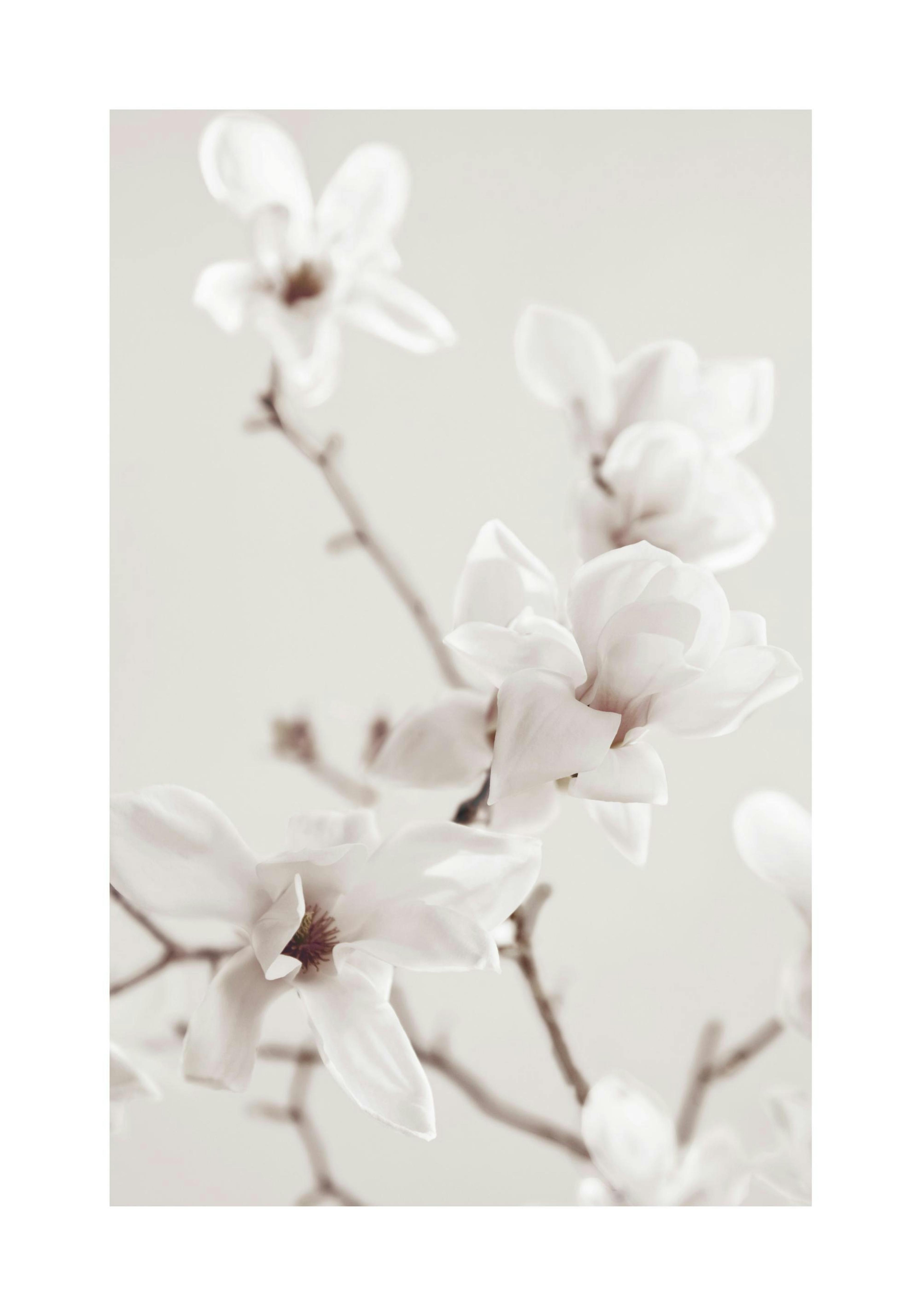 Product image: 1