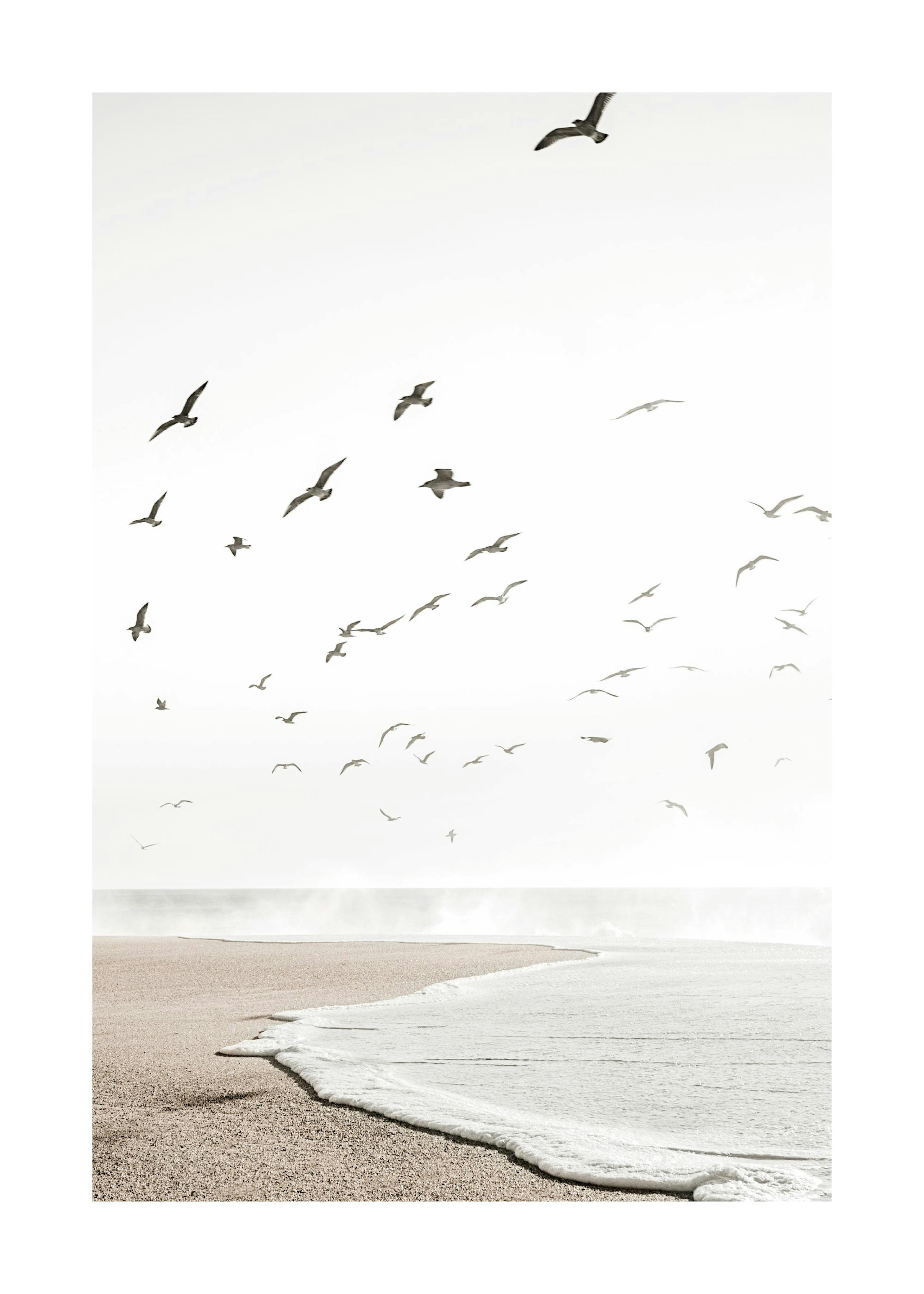 Calm Beach Plakat 0
