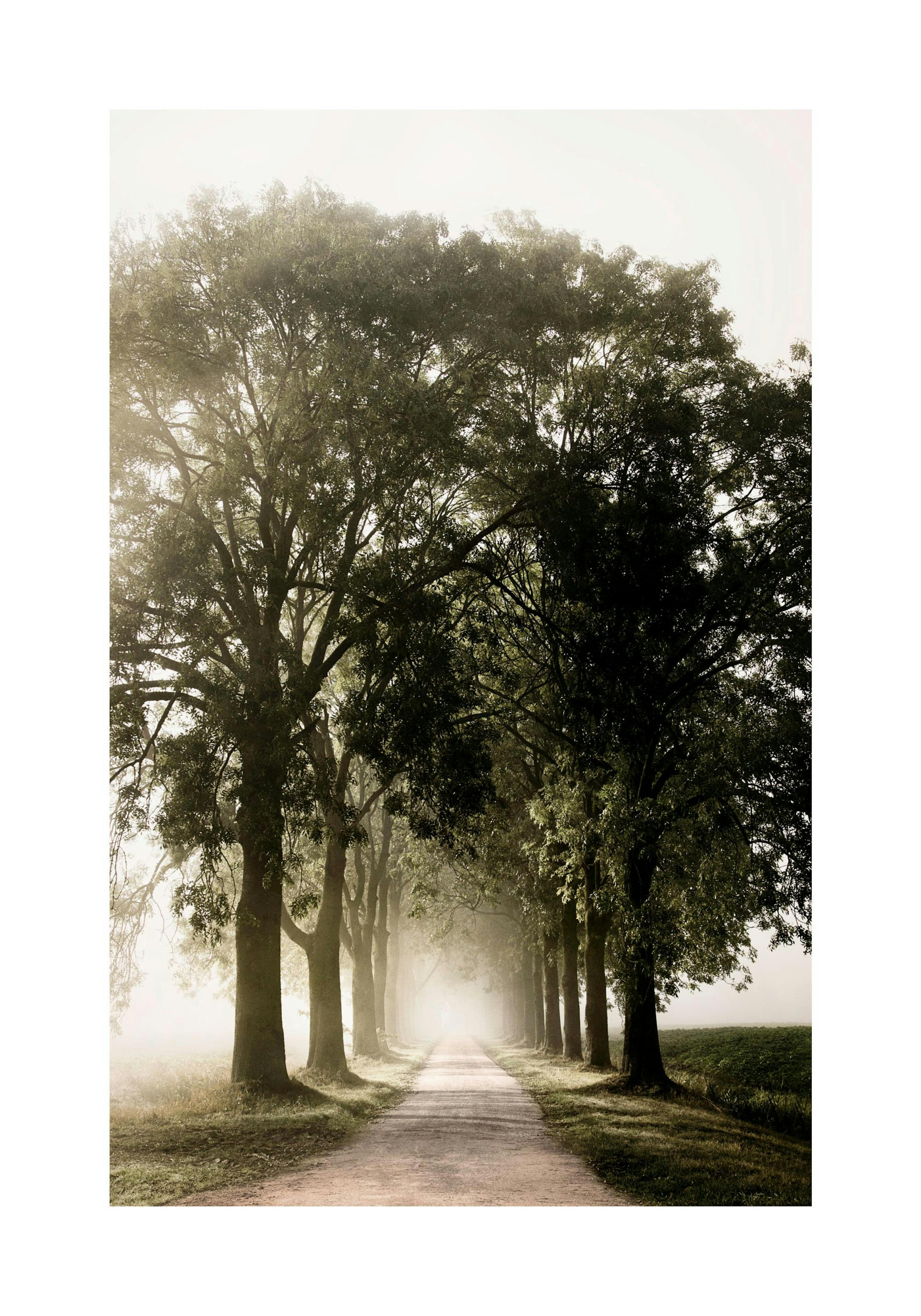 Country Road Poster thumbnail