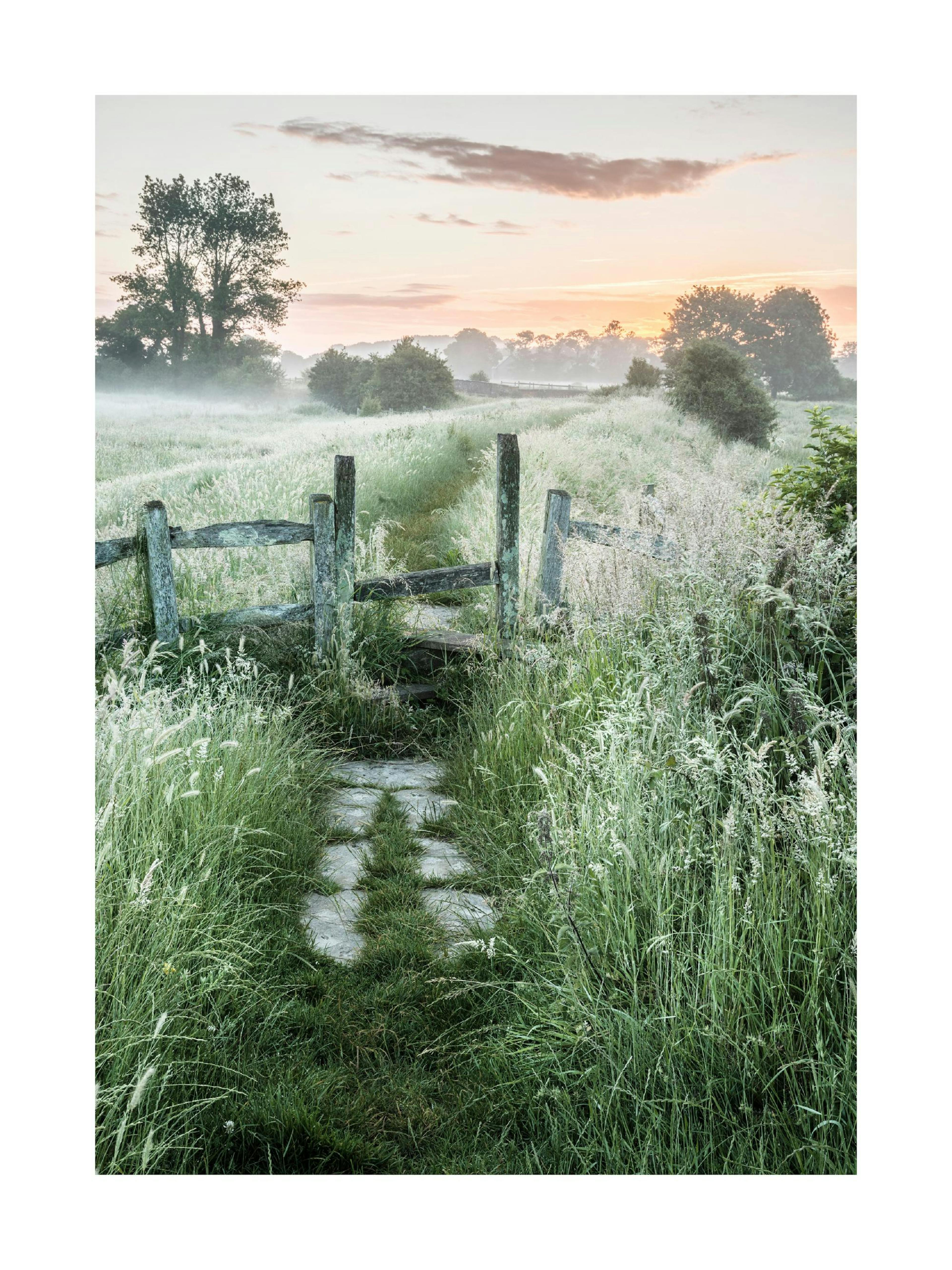 Lever de soleil d'été Poster 0