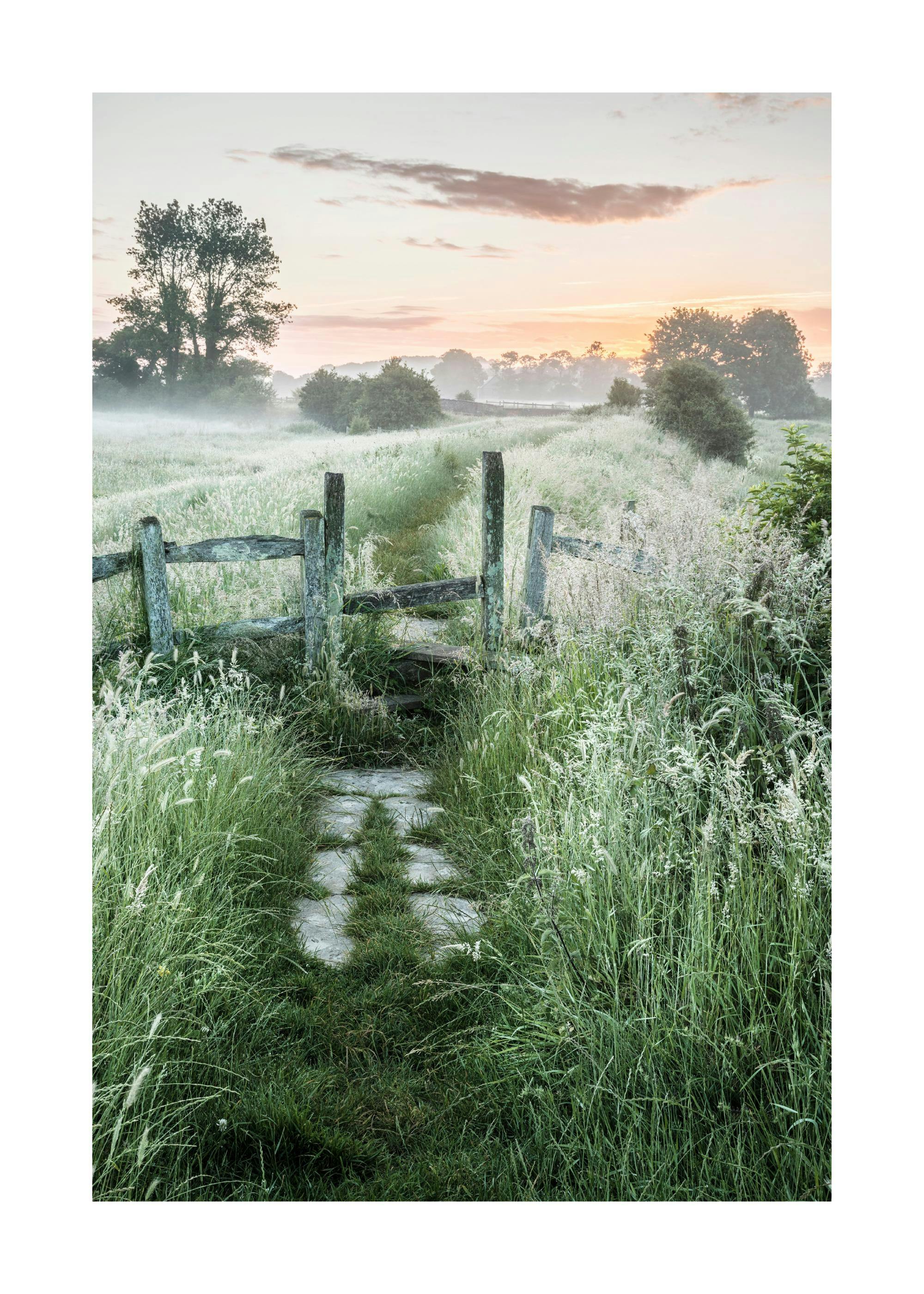 Lever de soleil d'été Poster 0