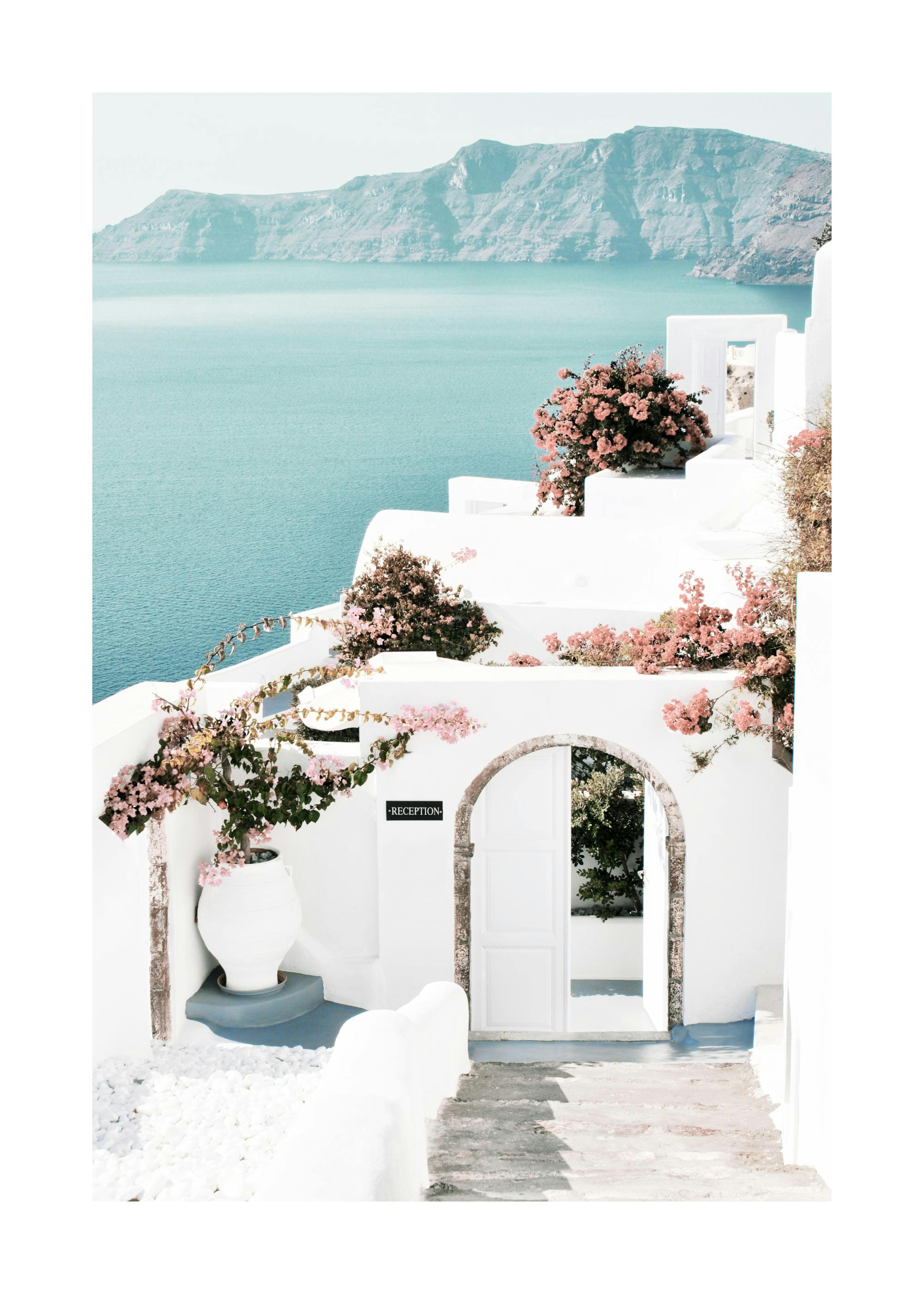 Fleurs de Santorin Poster 0