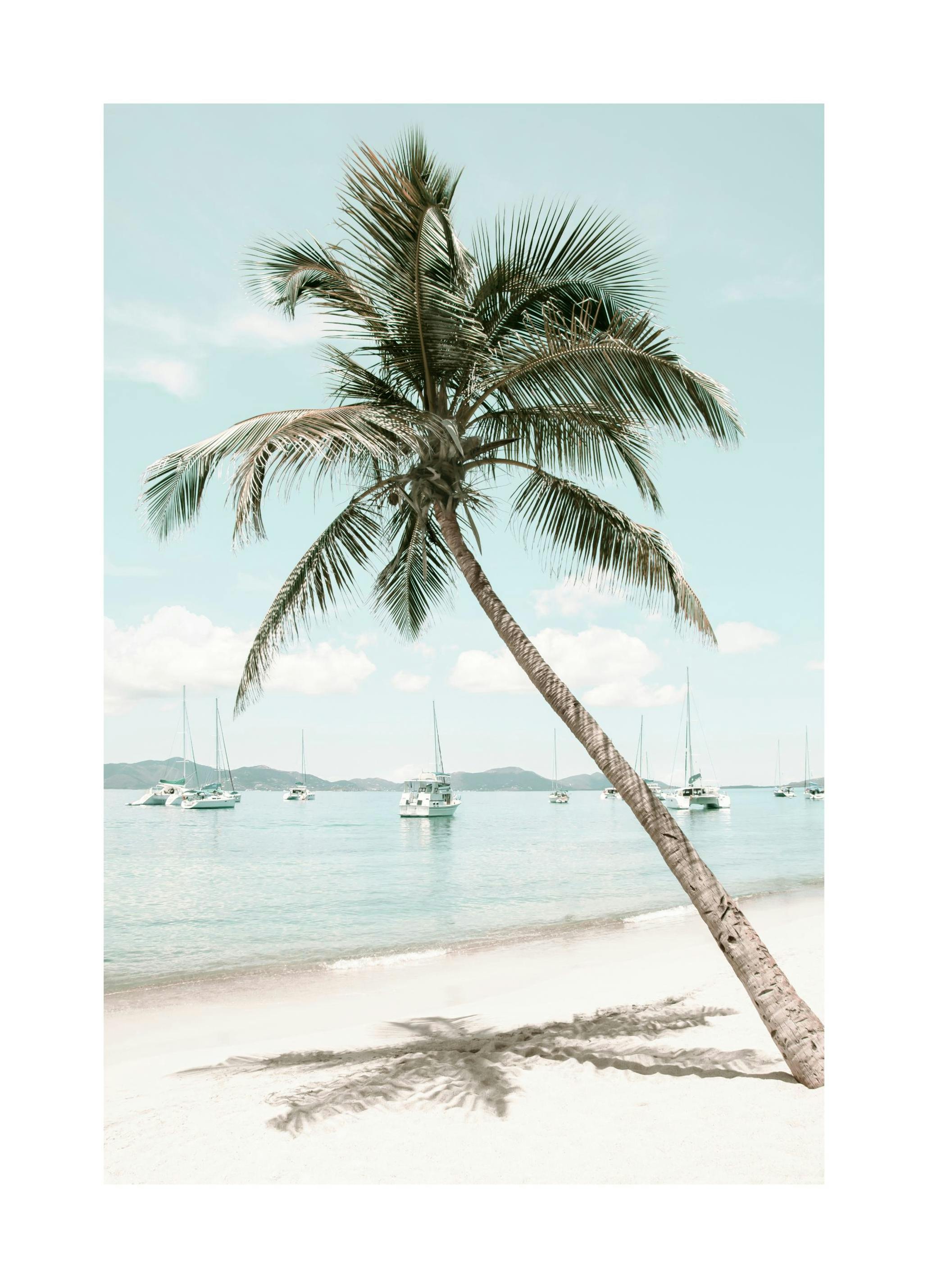 Caribische Palmboom Poster (21x30 cm) - Poster Store