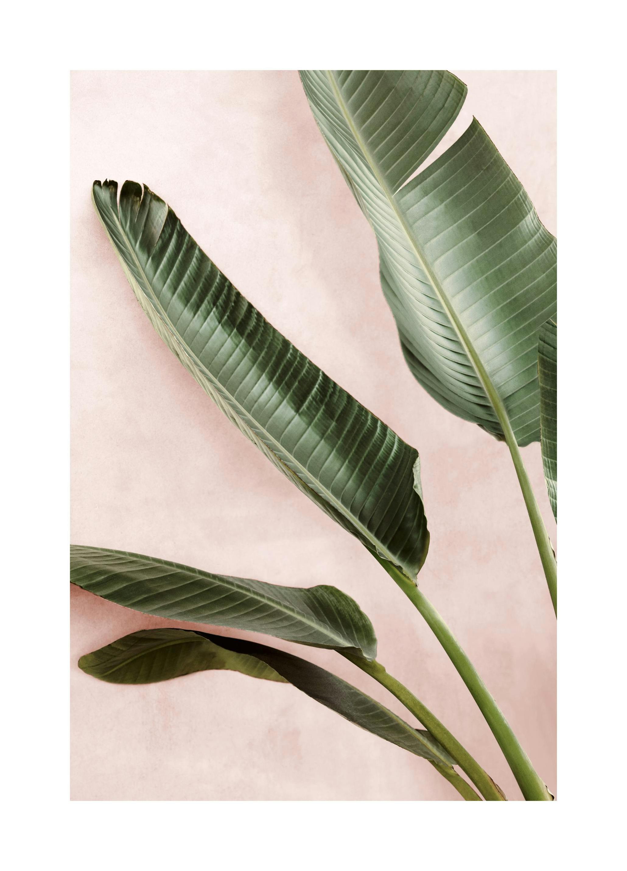 Groene Planten Poster (21x30 cm) - Poster Store