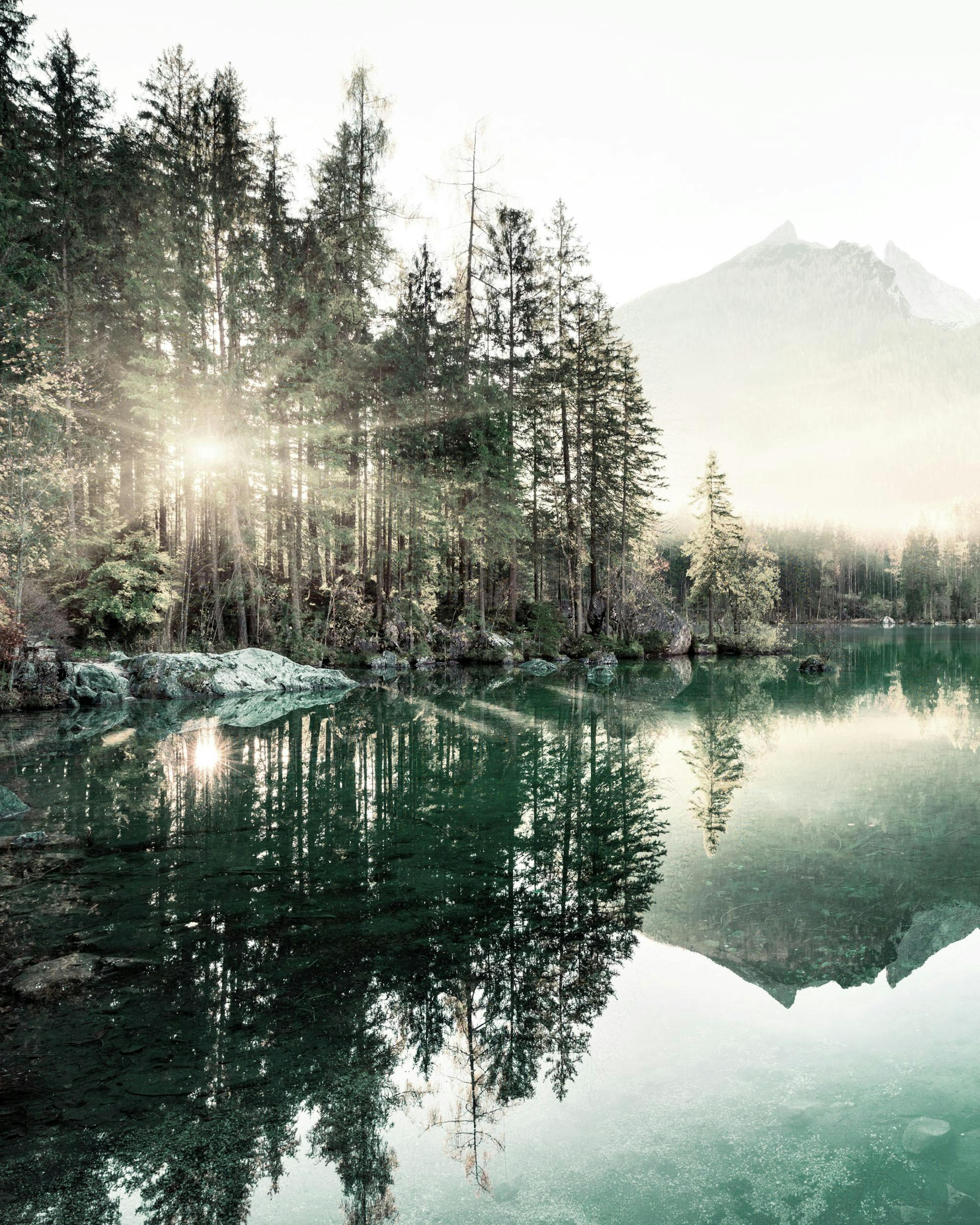 Morning View Lake Poster 0