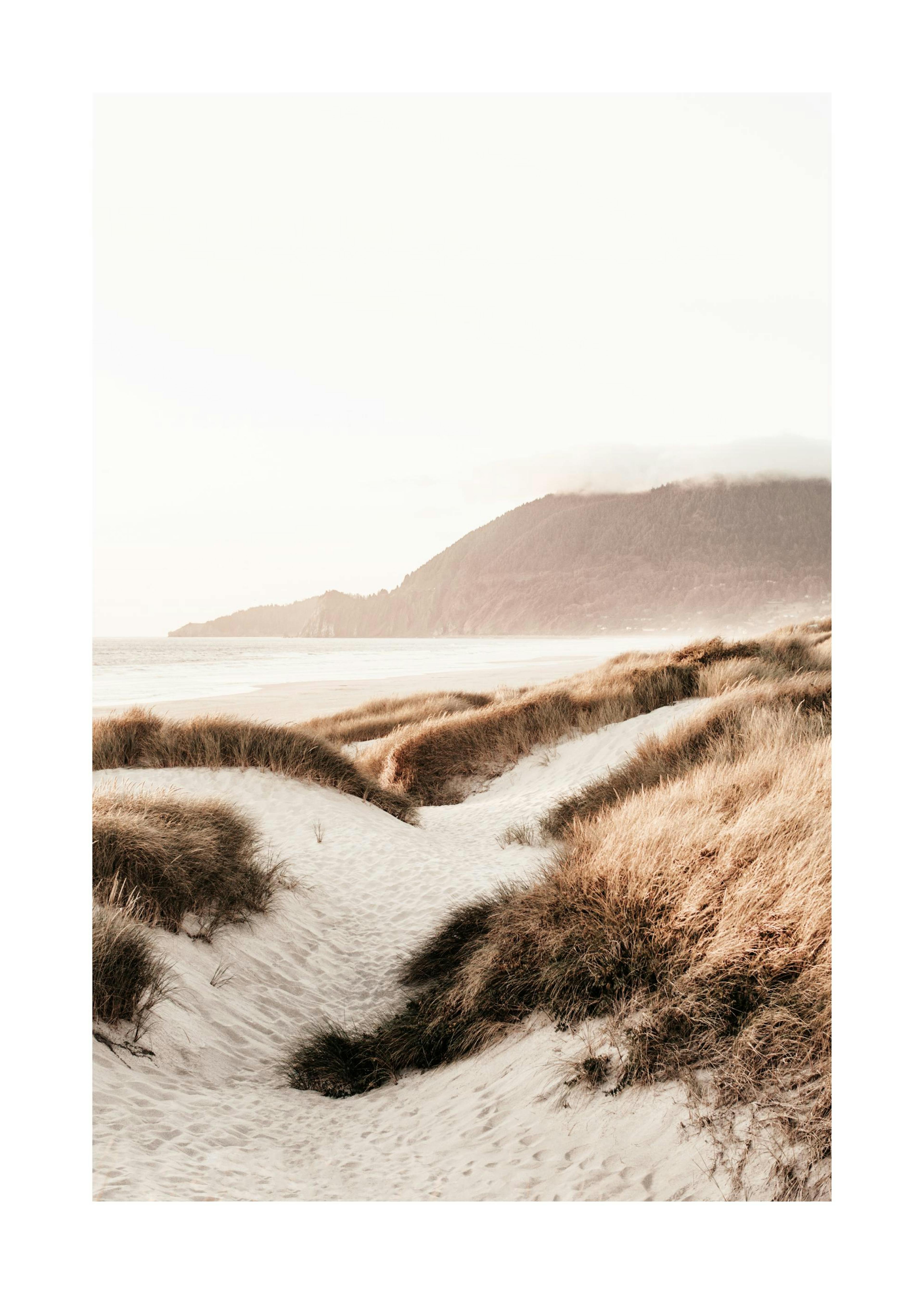 Beach Sand Dunes Poster 0