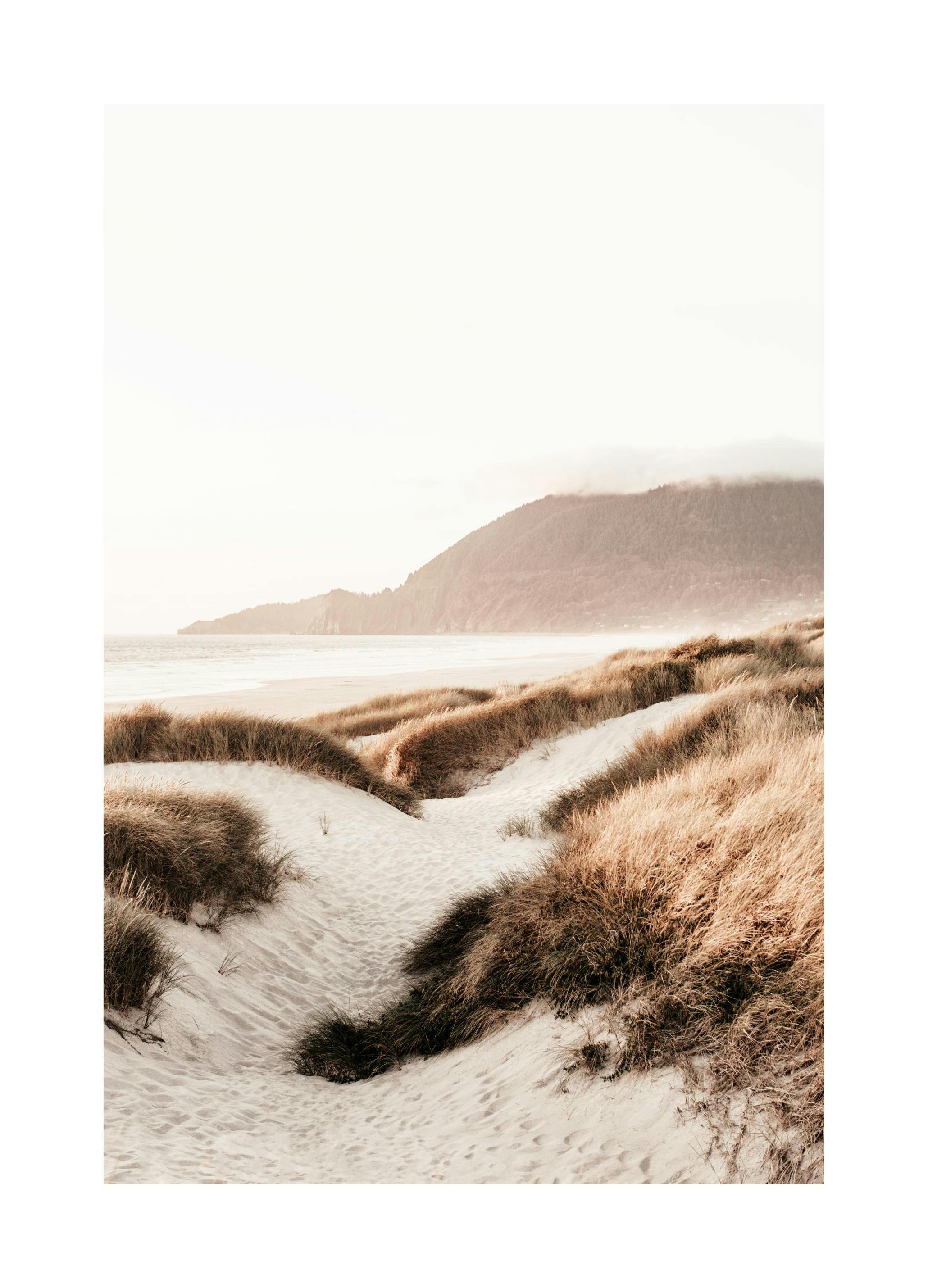 Plage Dunes de Sable Poster (21x30 cm) - Poster Store