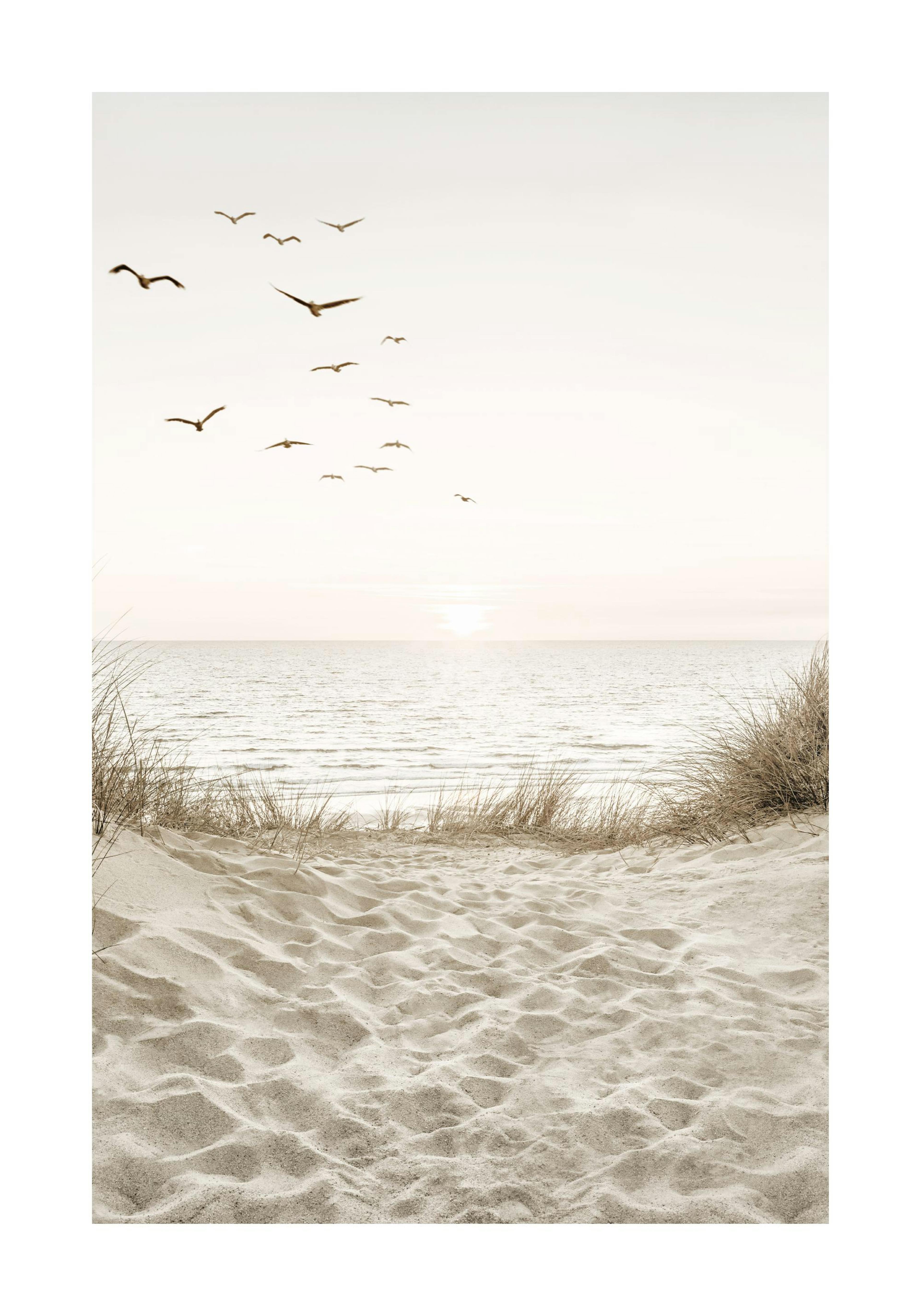 Vögel am Strand Poster 0