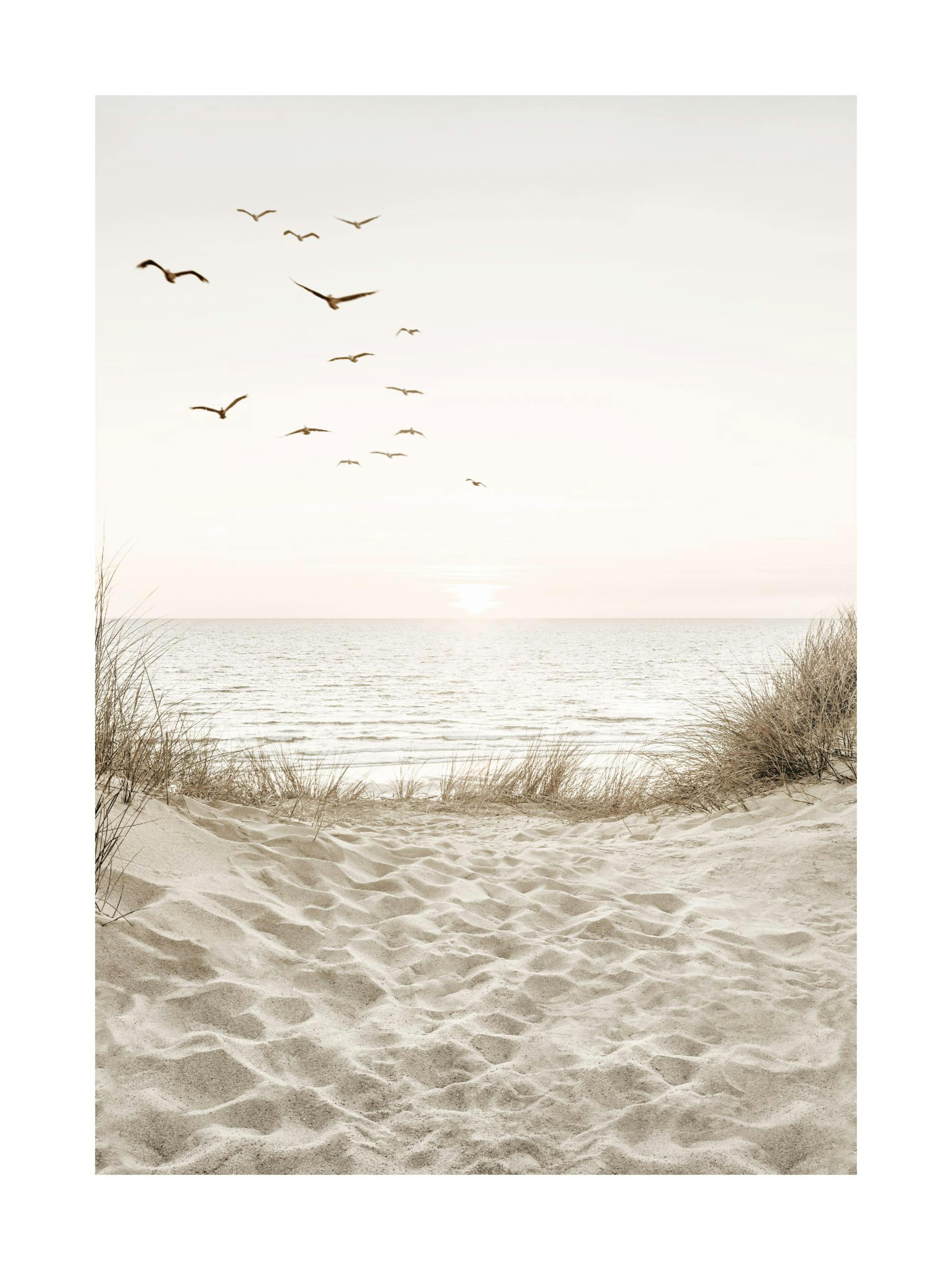 Oiseaux près de la Plage Poster 0