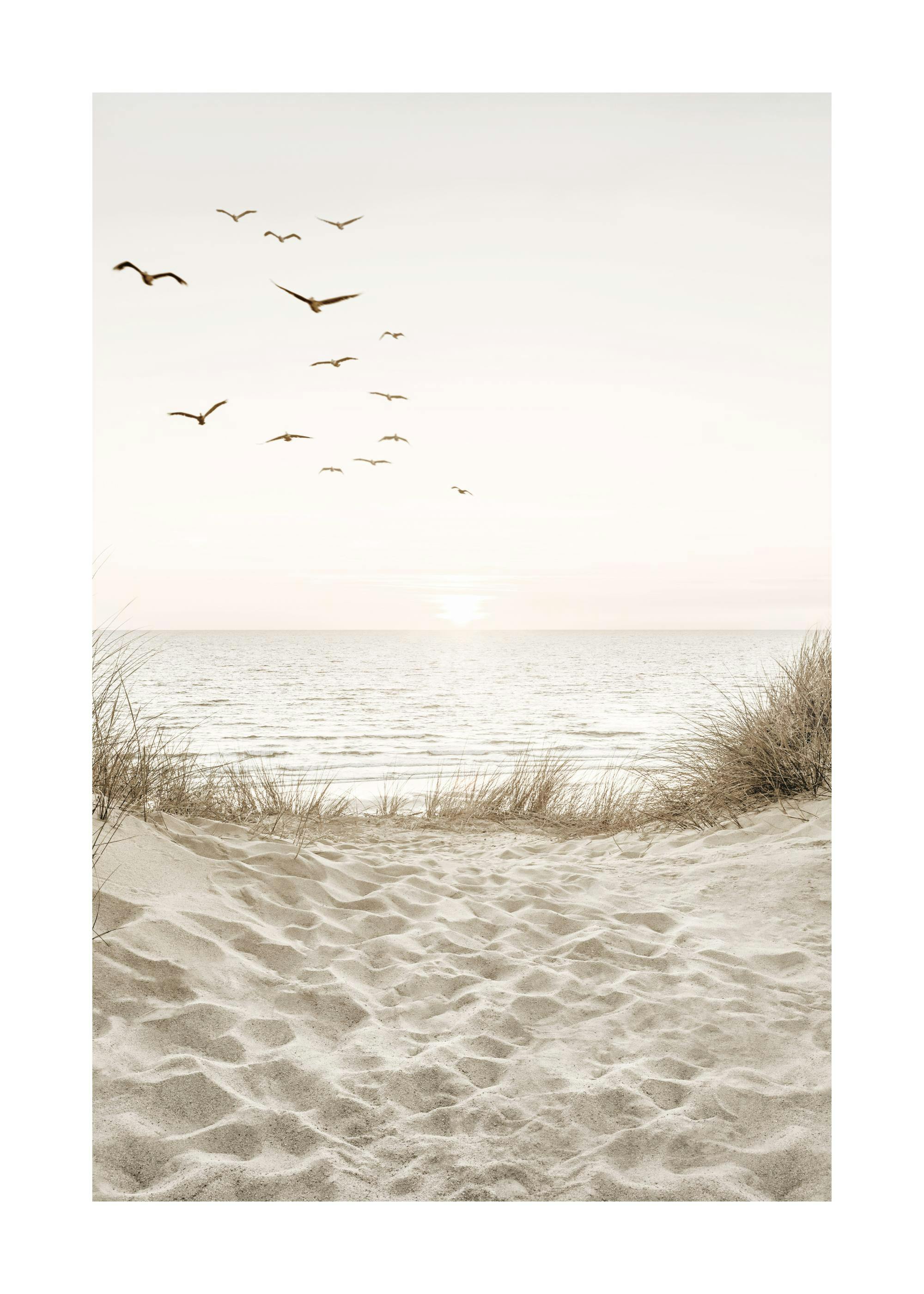 Fåglar vid Stranden Poster 0