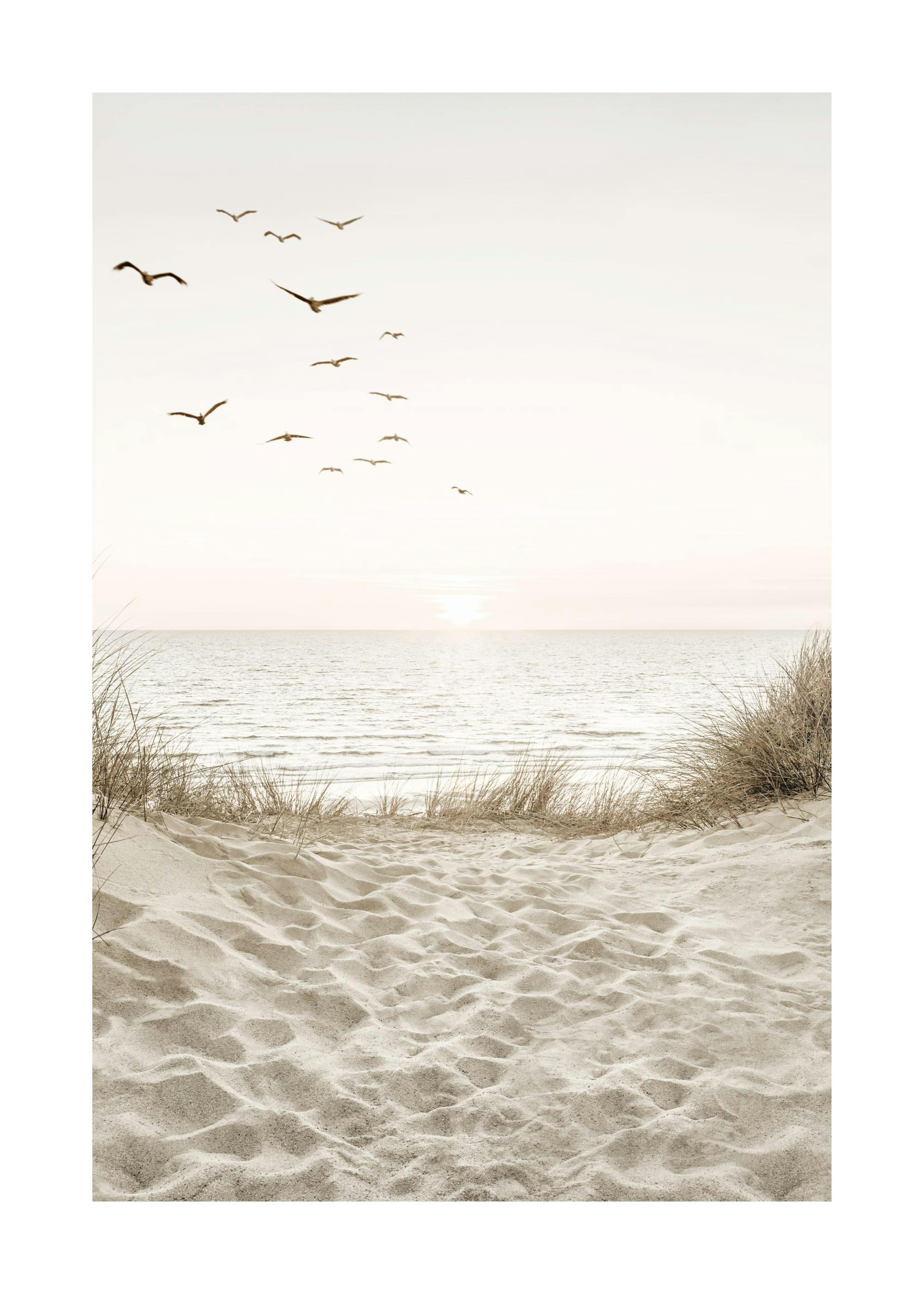 Uccelli sulla spiaggia Poster 0