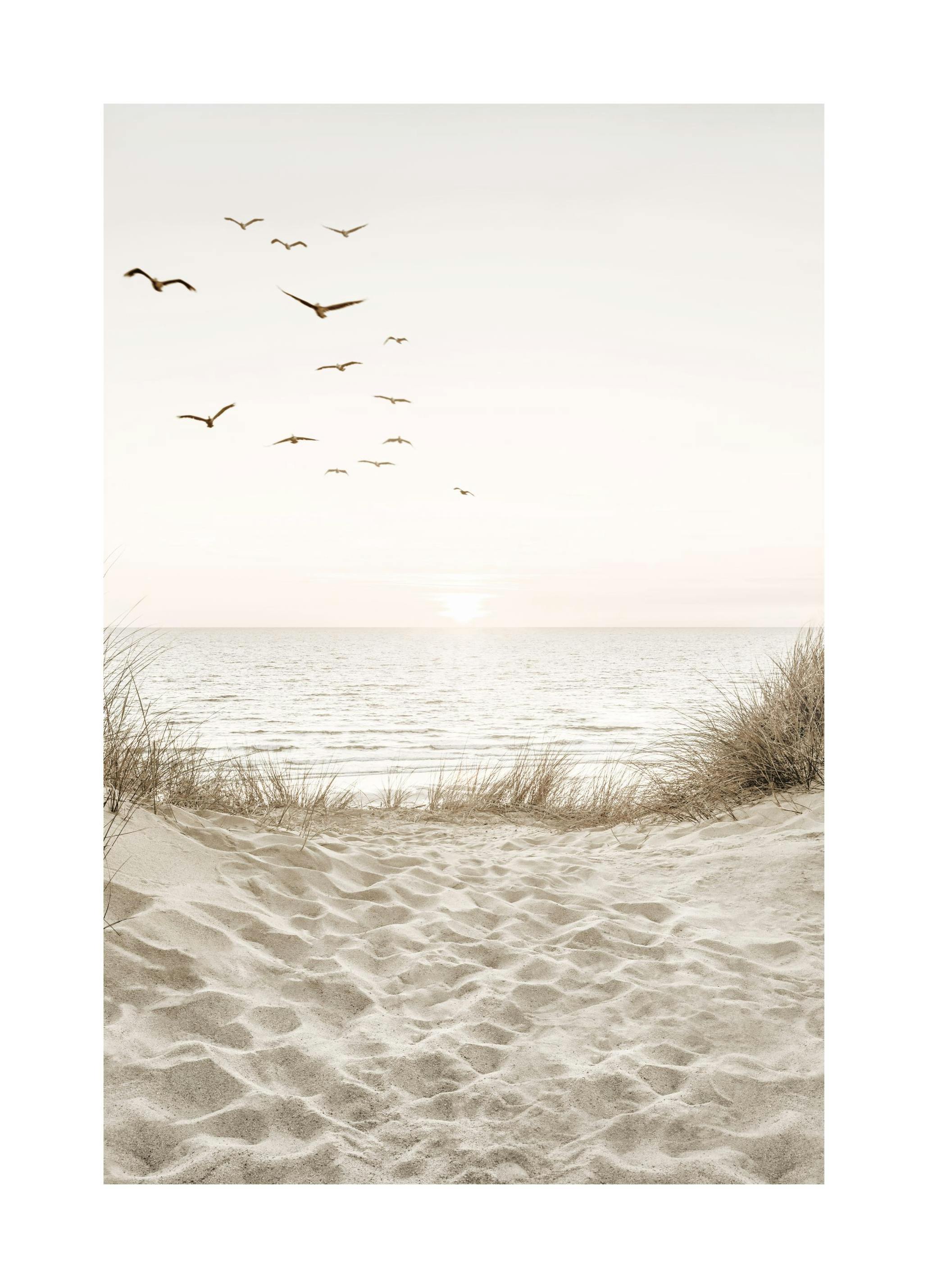 Prints Birds by the Beach Poster (21x30 cm) - Poster Store