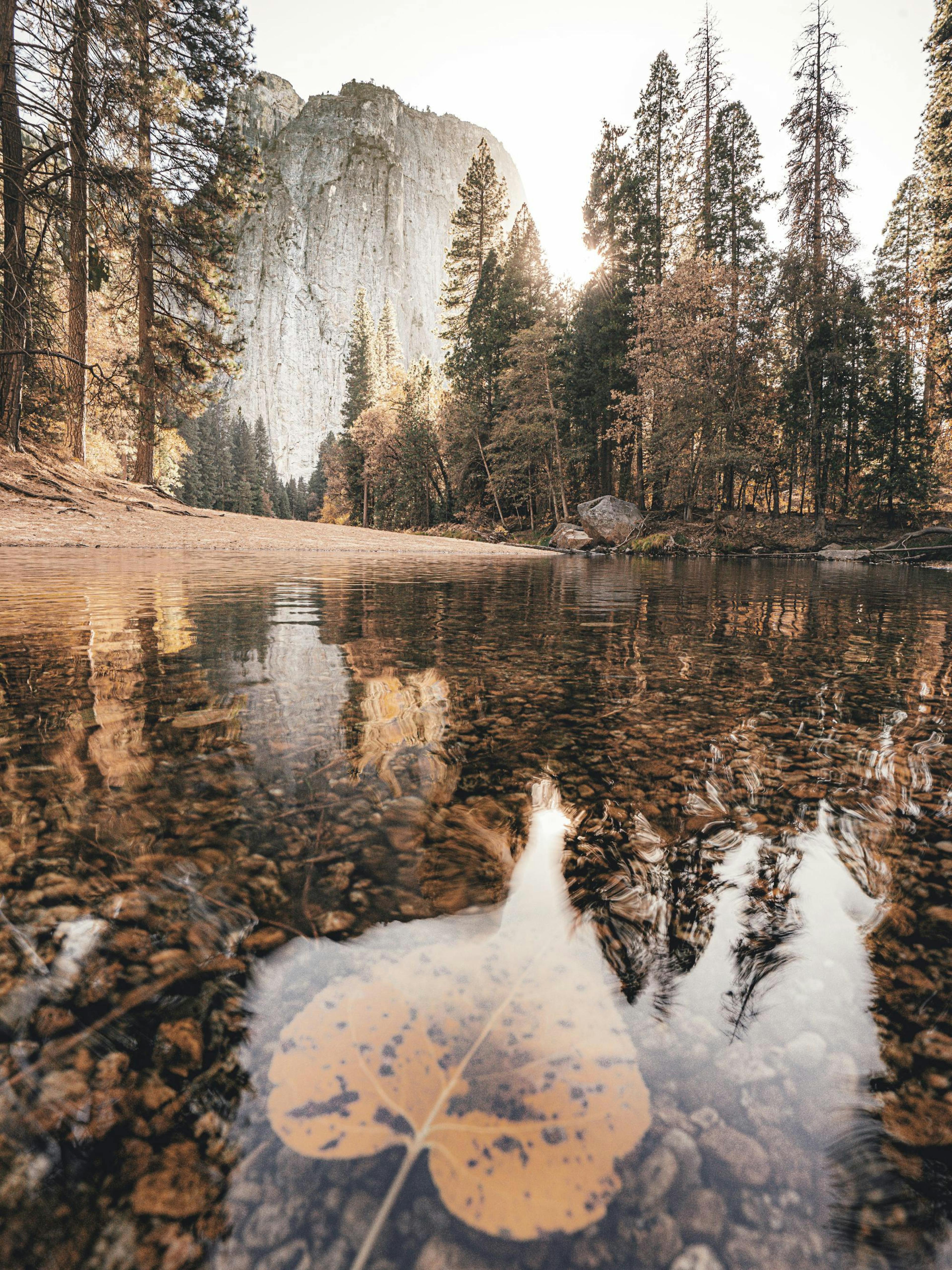 Yosemite Automne Poster thumbnail