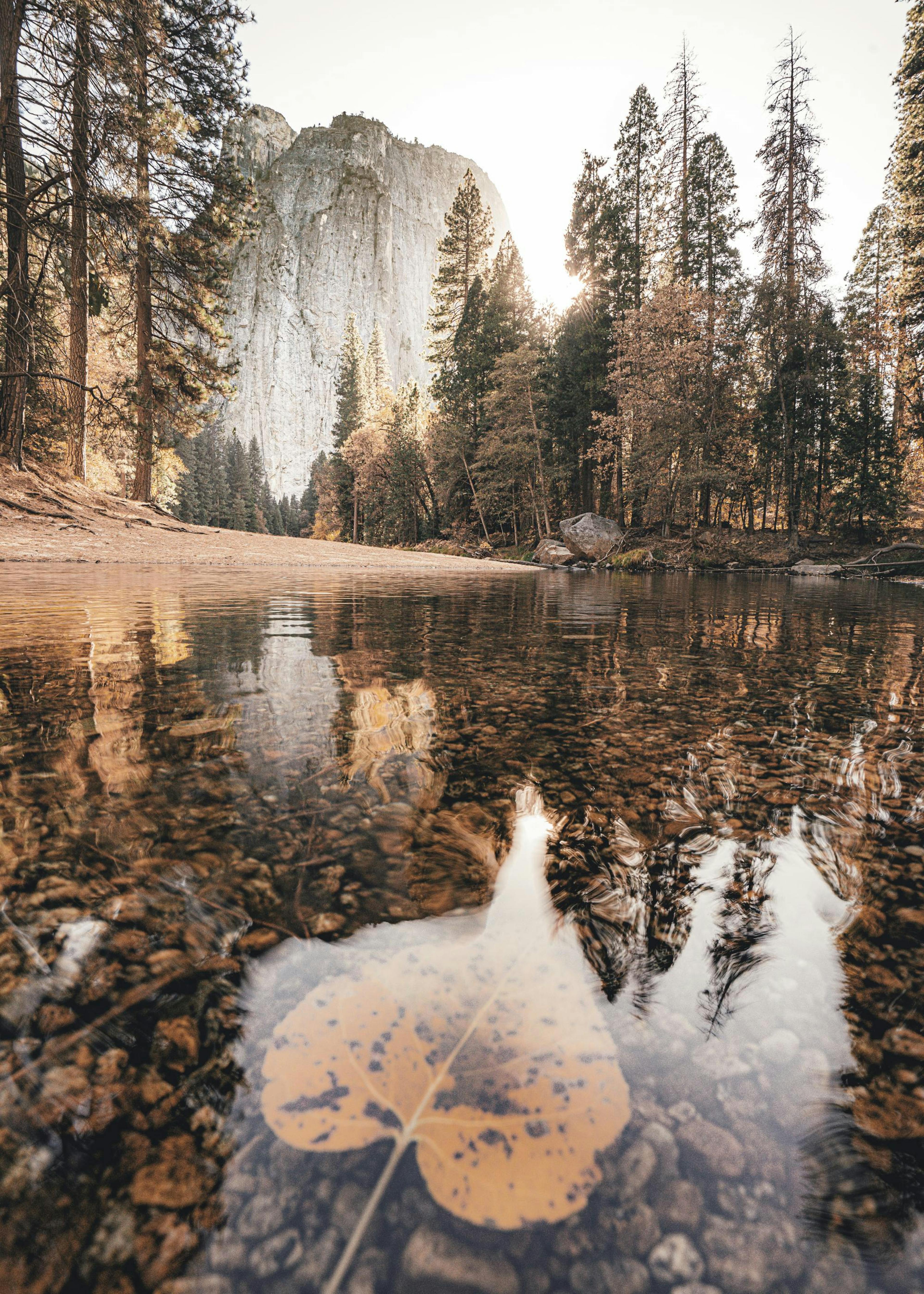 Yosemite Autumn Poster 0