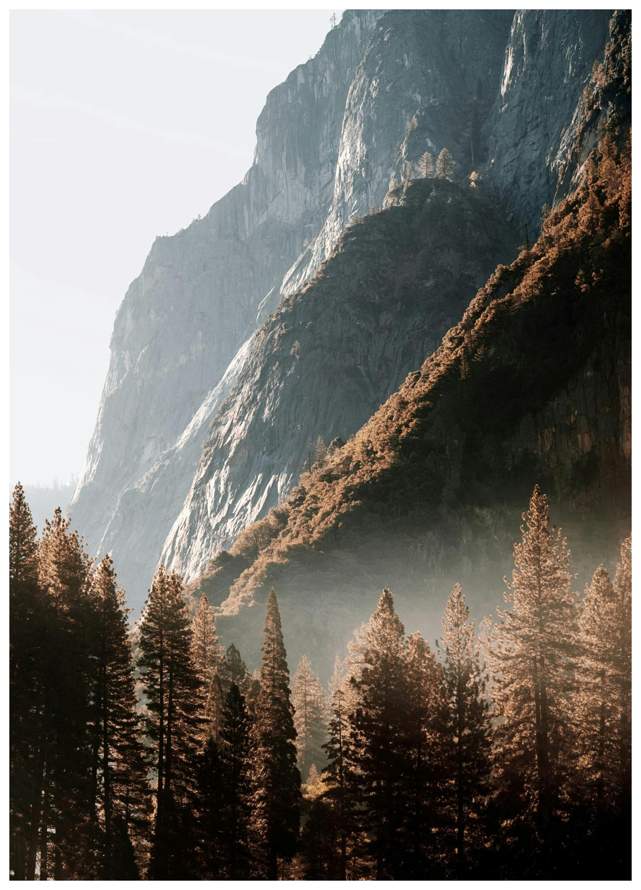 Skog i Dalen Poster (21x30 cm) - Poster Store