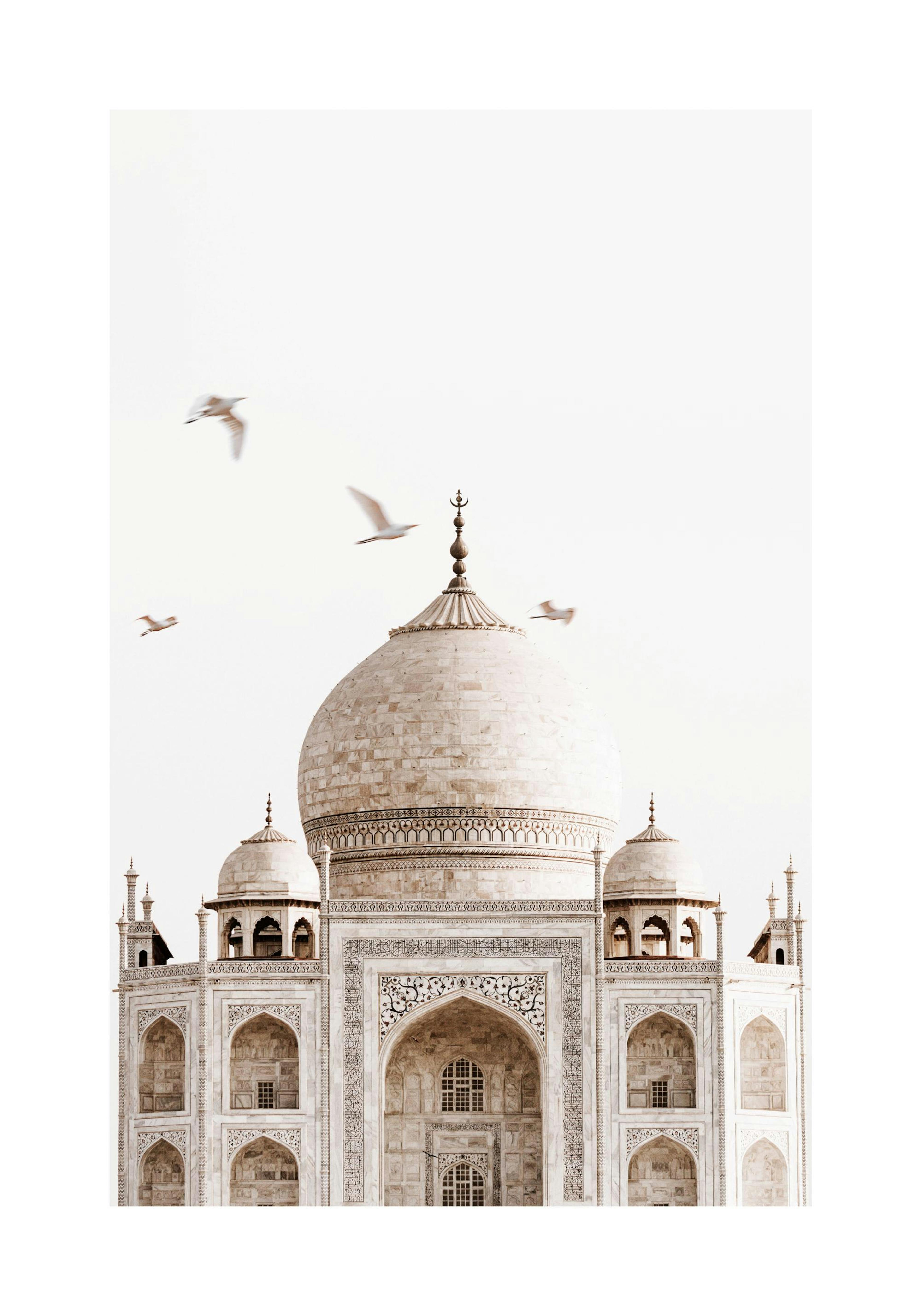 Taj Mahal Poster thumbnail