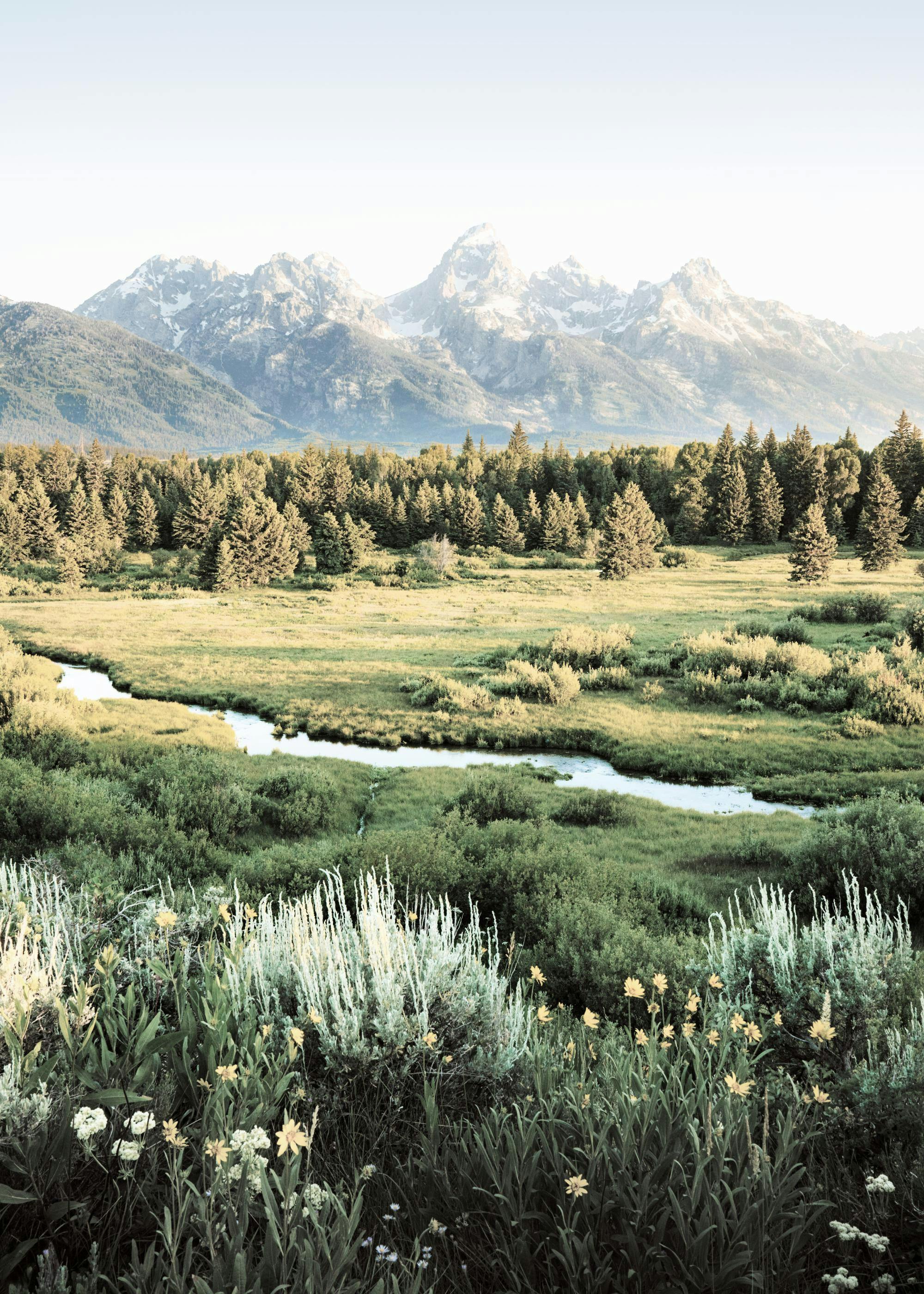 Mountain Range Poster 0