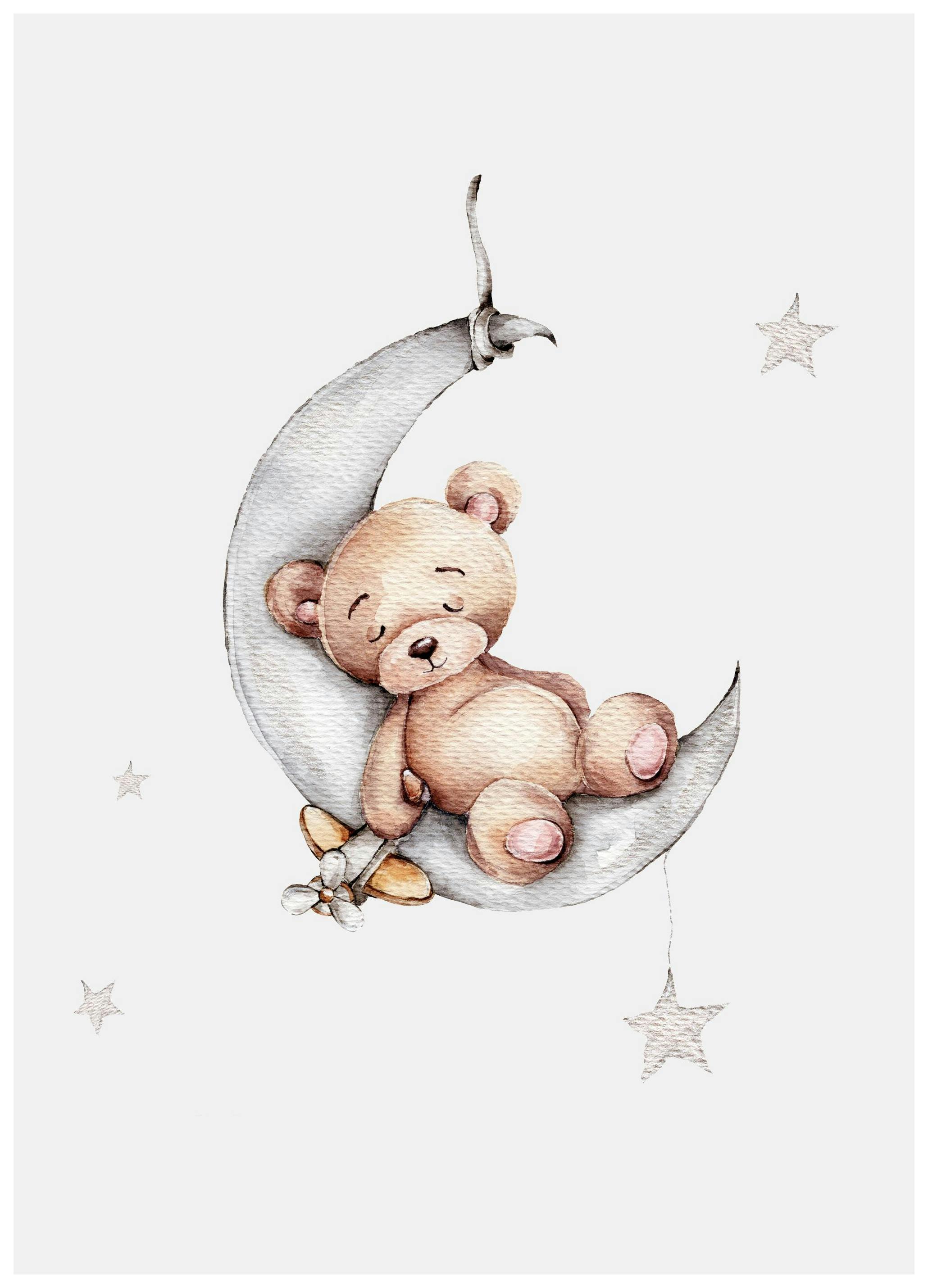 Orsetto che Dorme Poster (30x40 cm) - Poster Store