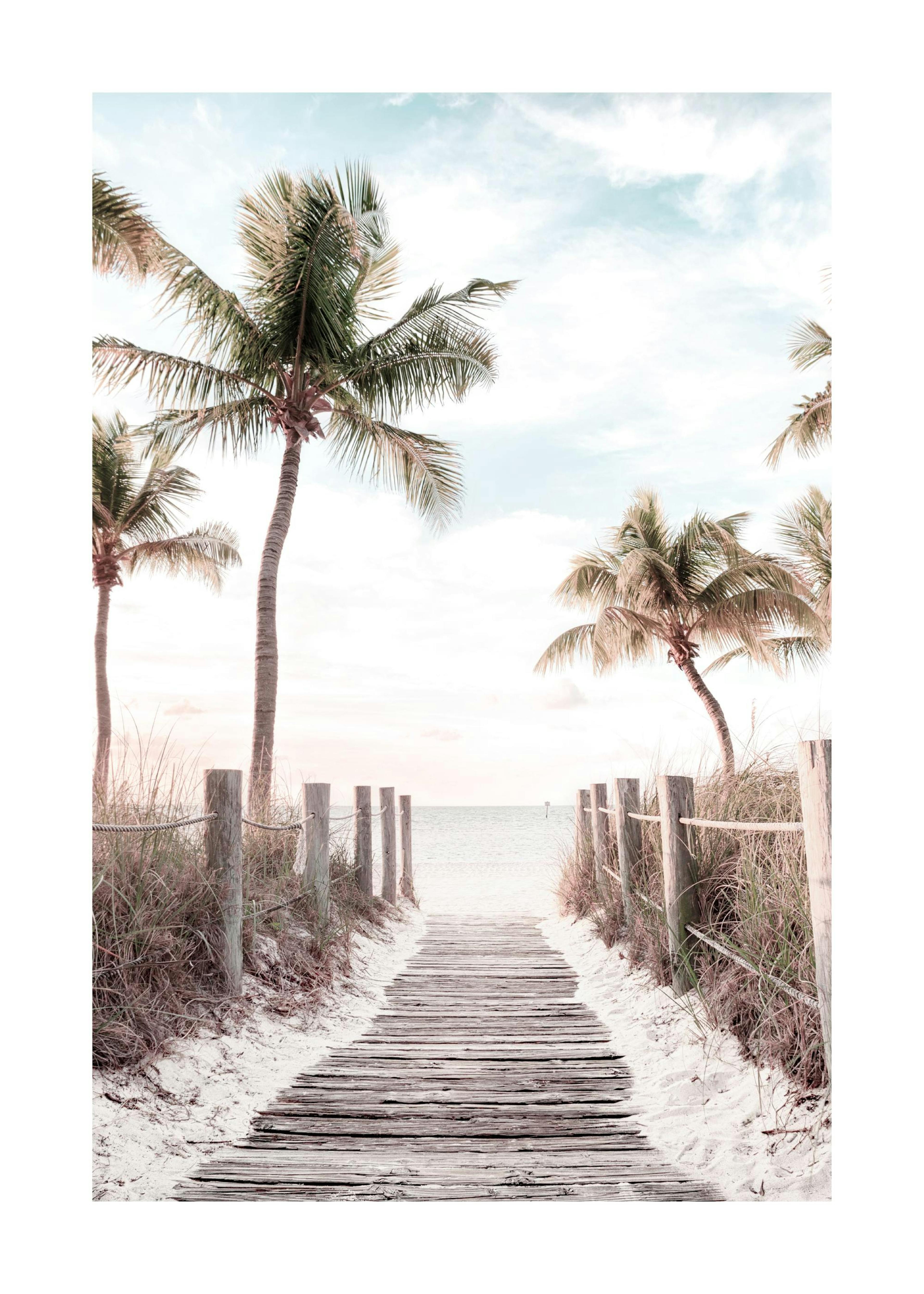Sunrise Path Poster 0
