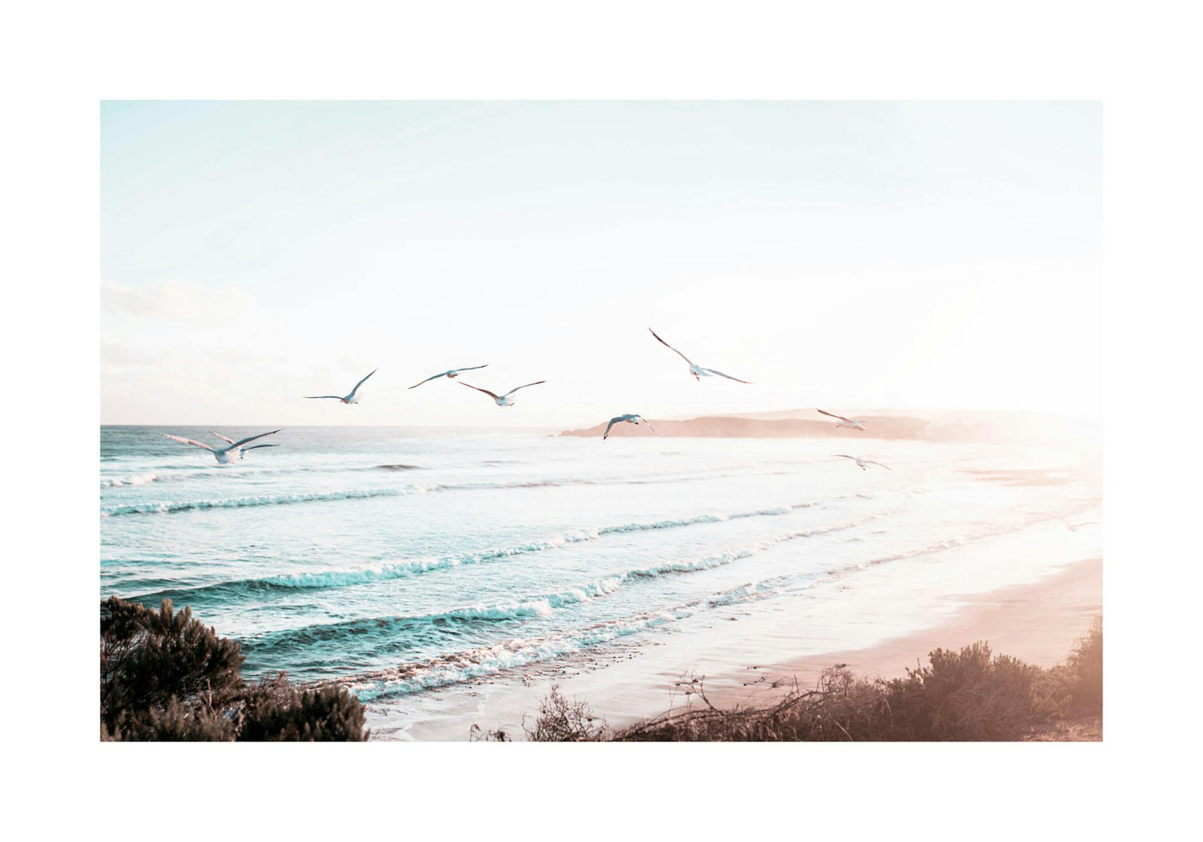 Ocean View Poster thumbnail