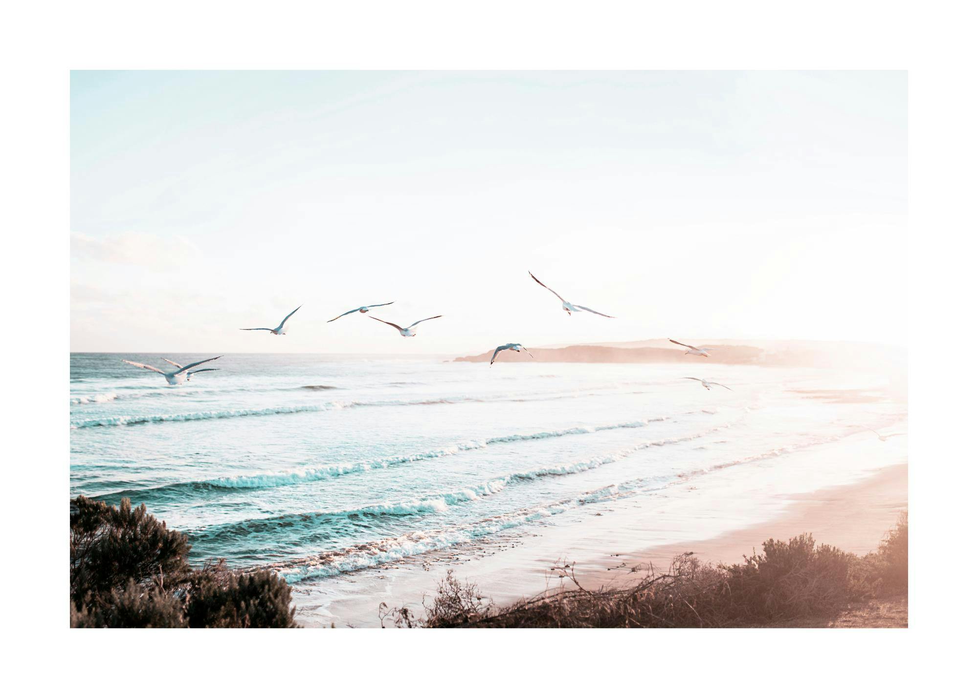 Meerblick mit Strand Poster 0