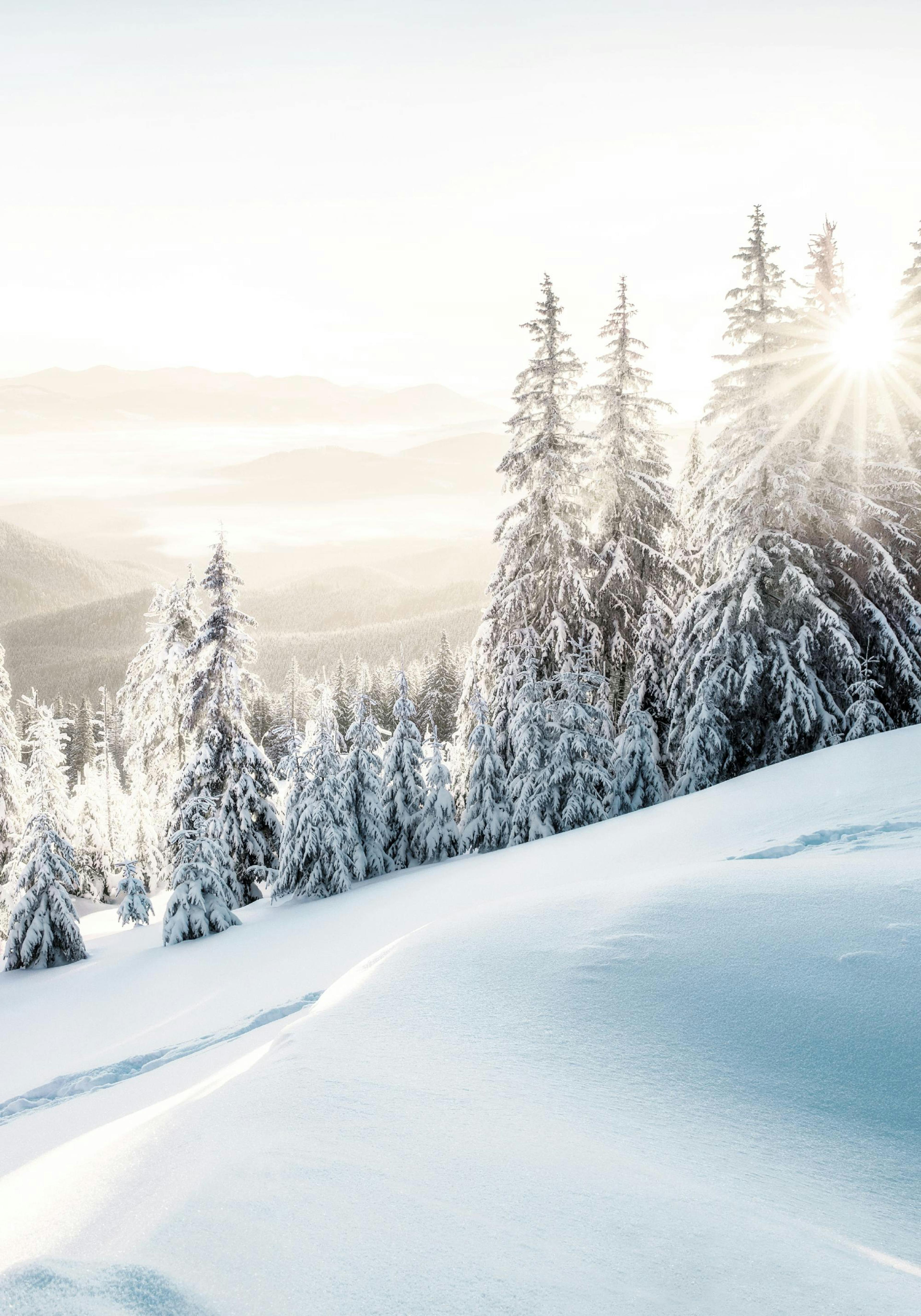 Winter Sunrise Poster thumbnail
