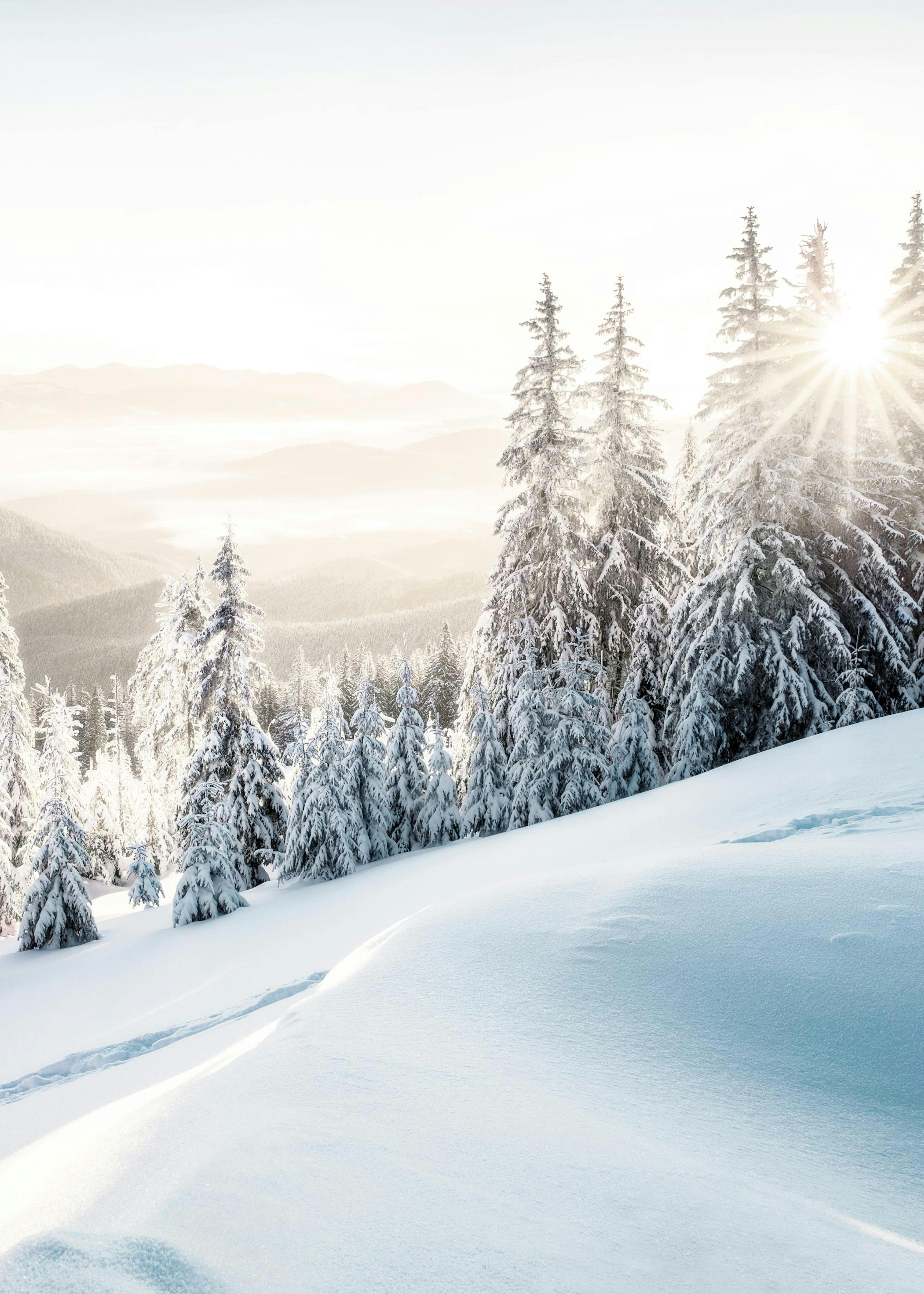 Winter Sonnenaufgang Poster 0
