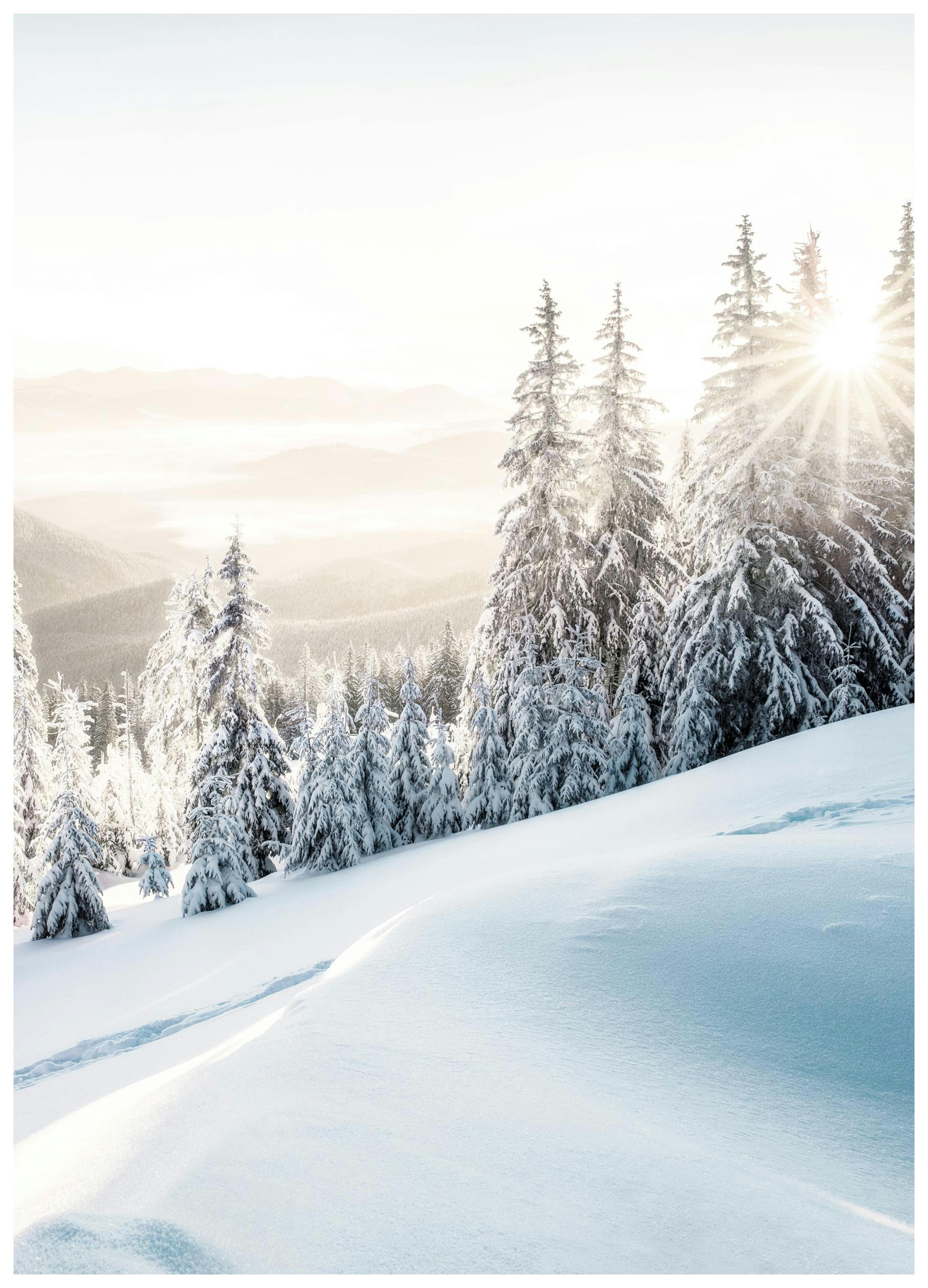 Winterse Zonsopgang Poster (40x50 cm) - Poster Store