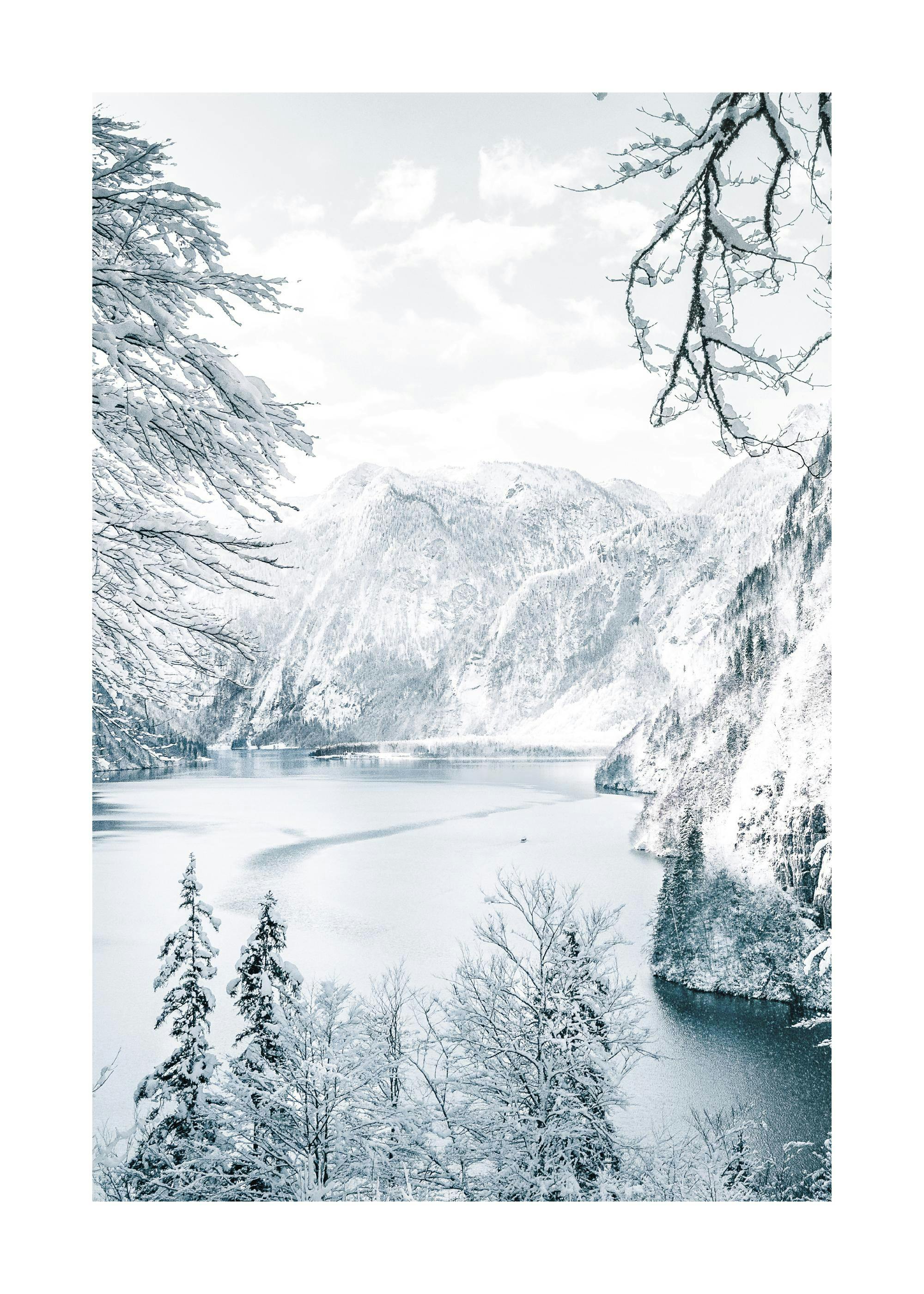 Winter View Poster 0