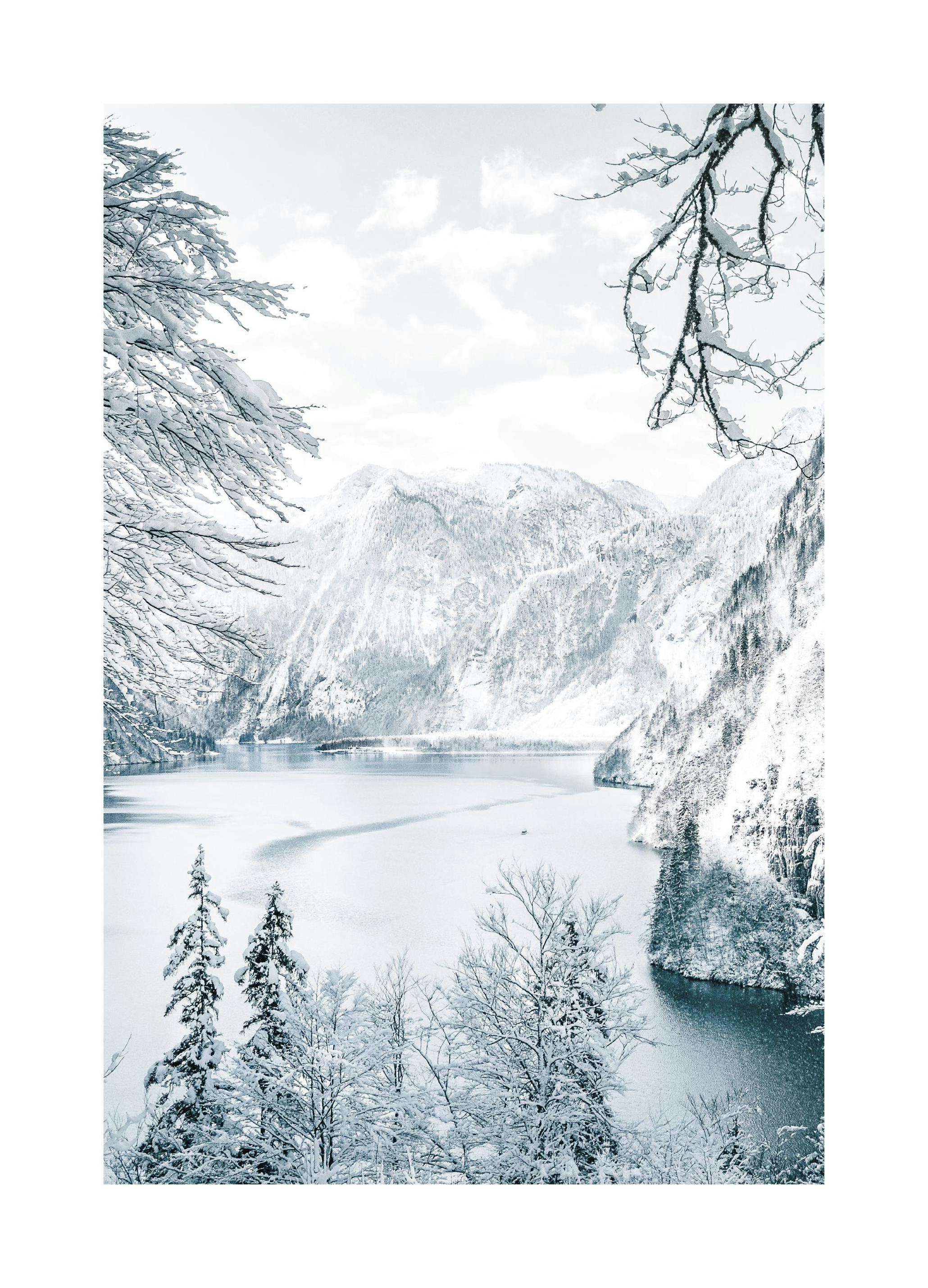 Winters Uitzicht Poster (50x70 cm) - Poster Store