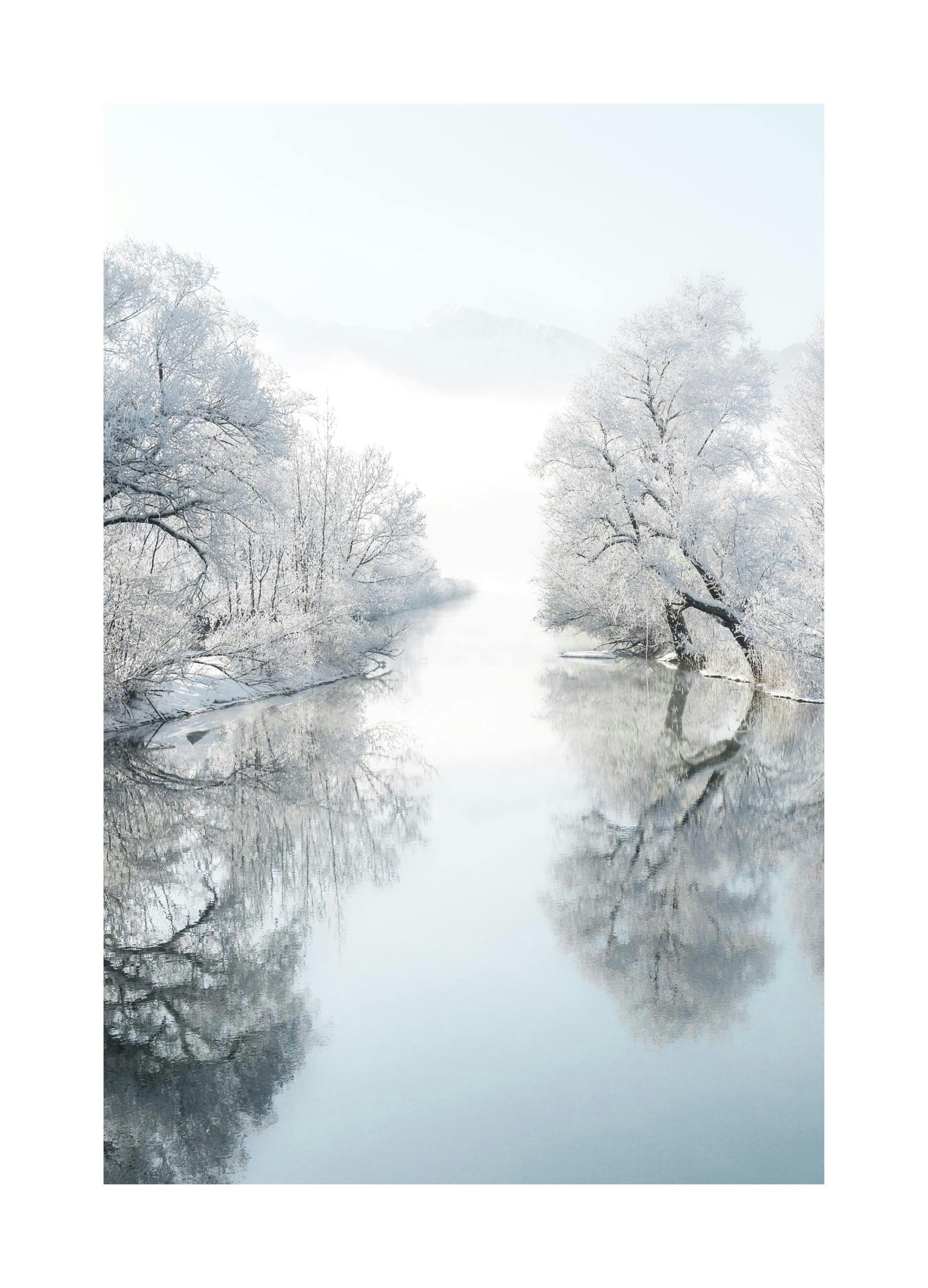 IJzige Winter Poster (50x70 cm) - Poster Store