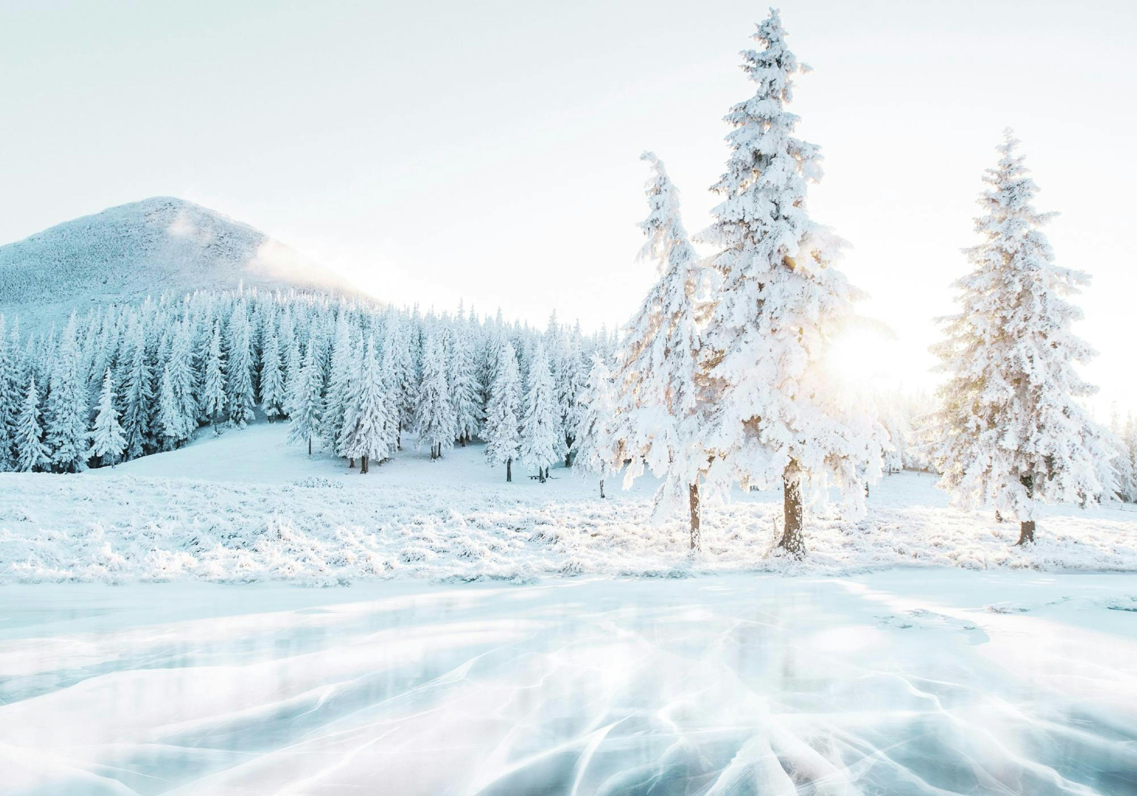 Frozen Lake Poster thumbnail