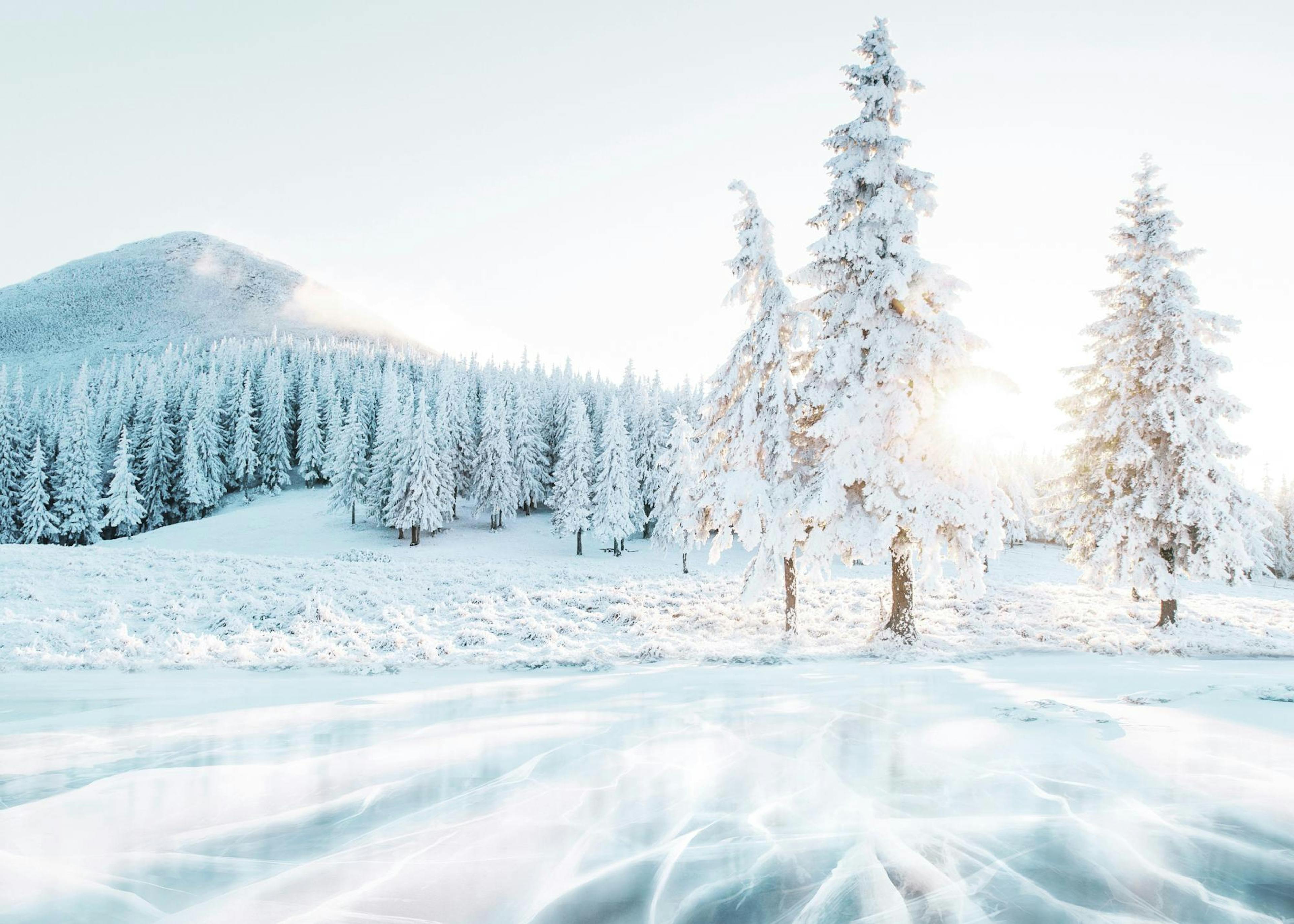 Frozen Lake Poster 0