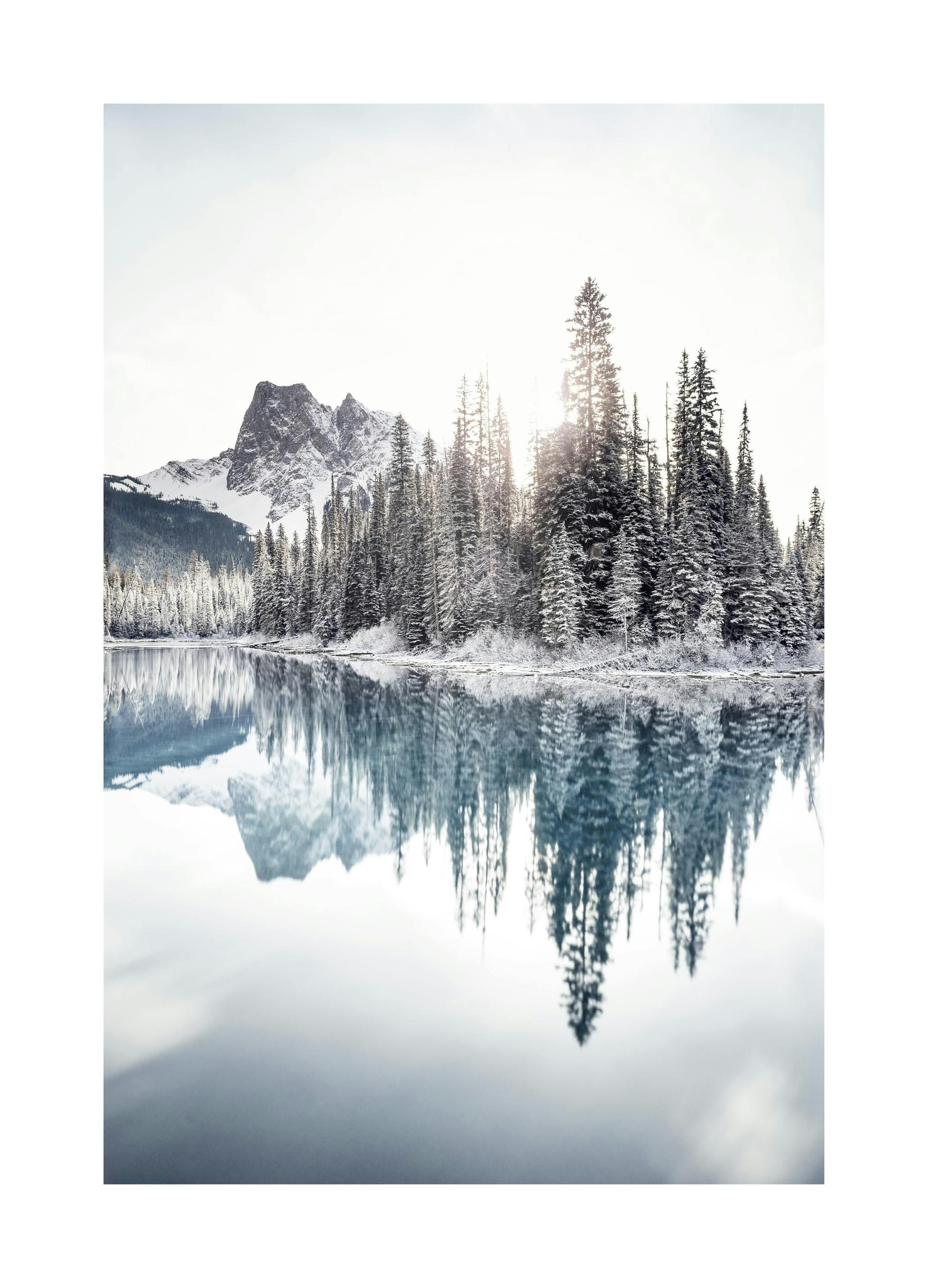 Winter Reflecties Poster (50x70 cm) - Poster Store