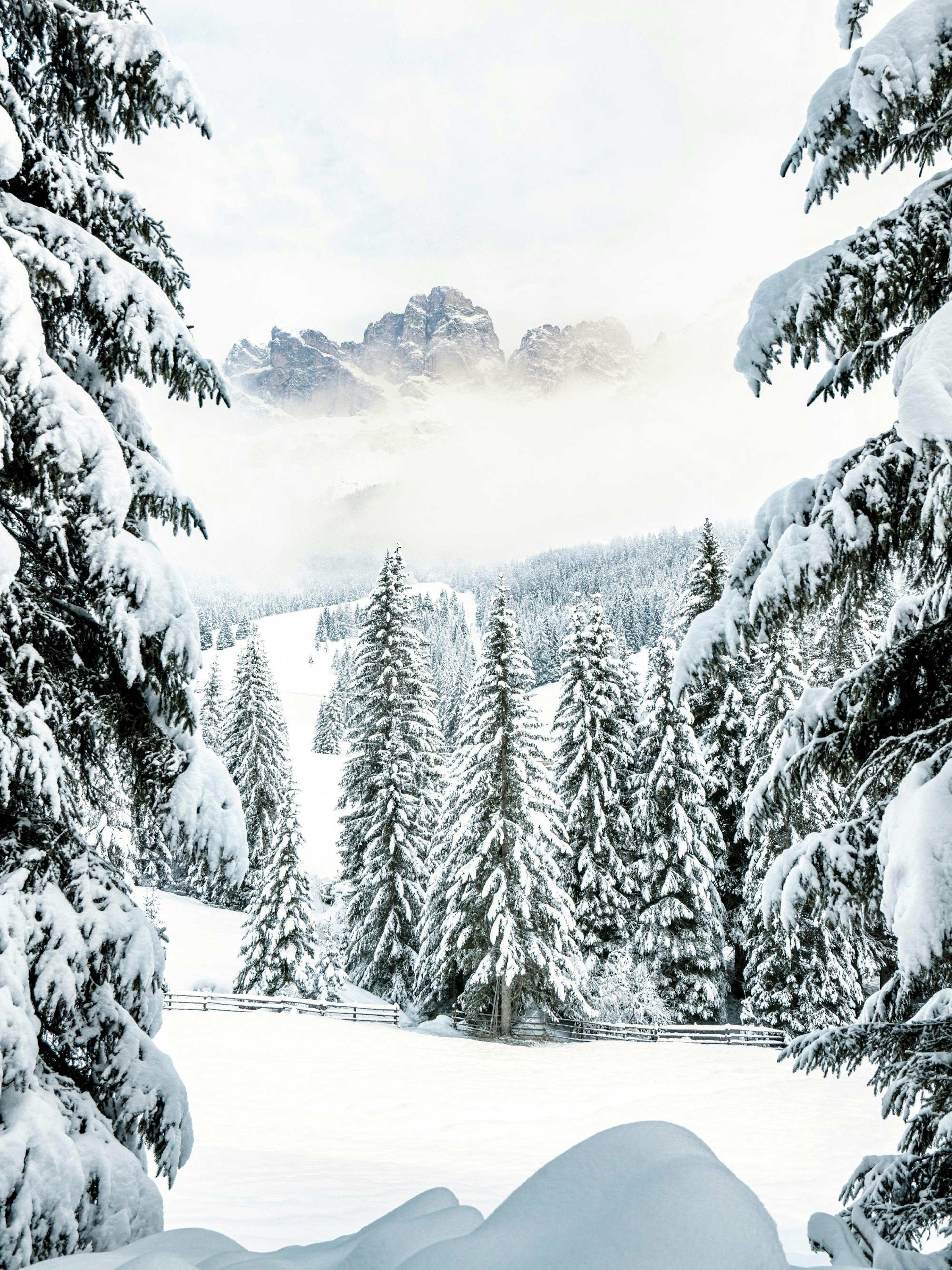Winter Valley Poster thumbnail