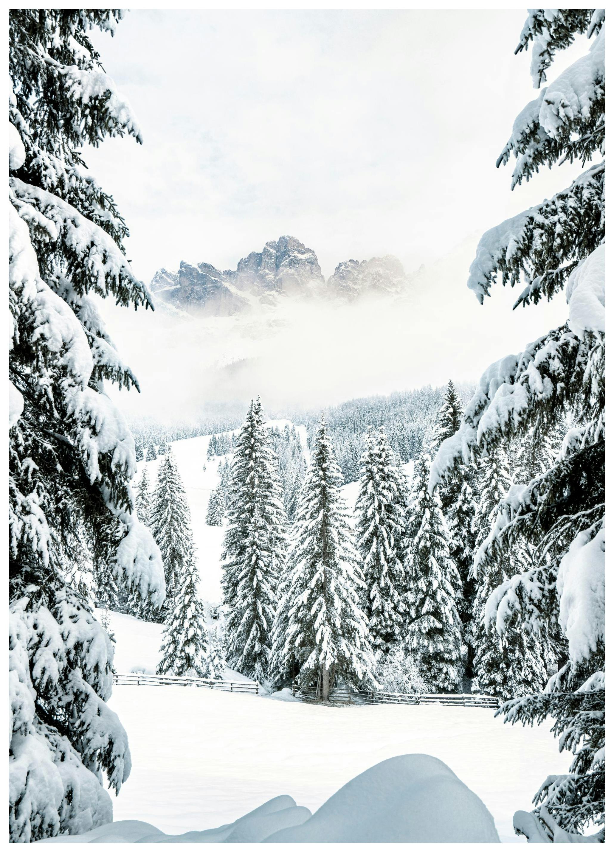 Winters Dal Poster (30x40 cm) - Poster Store