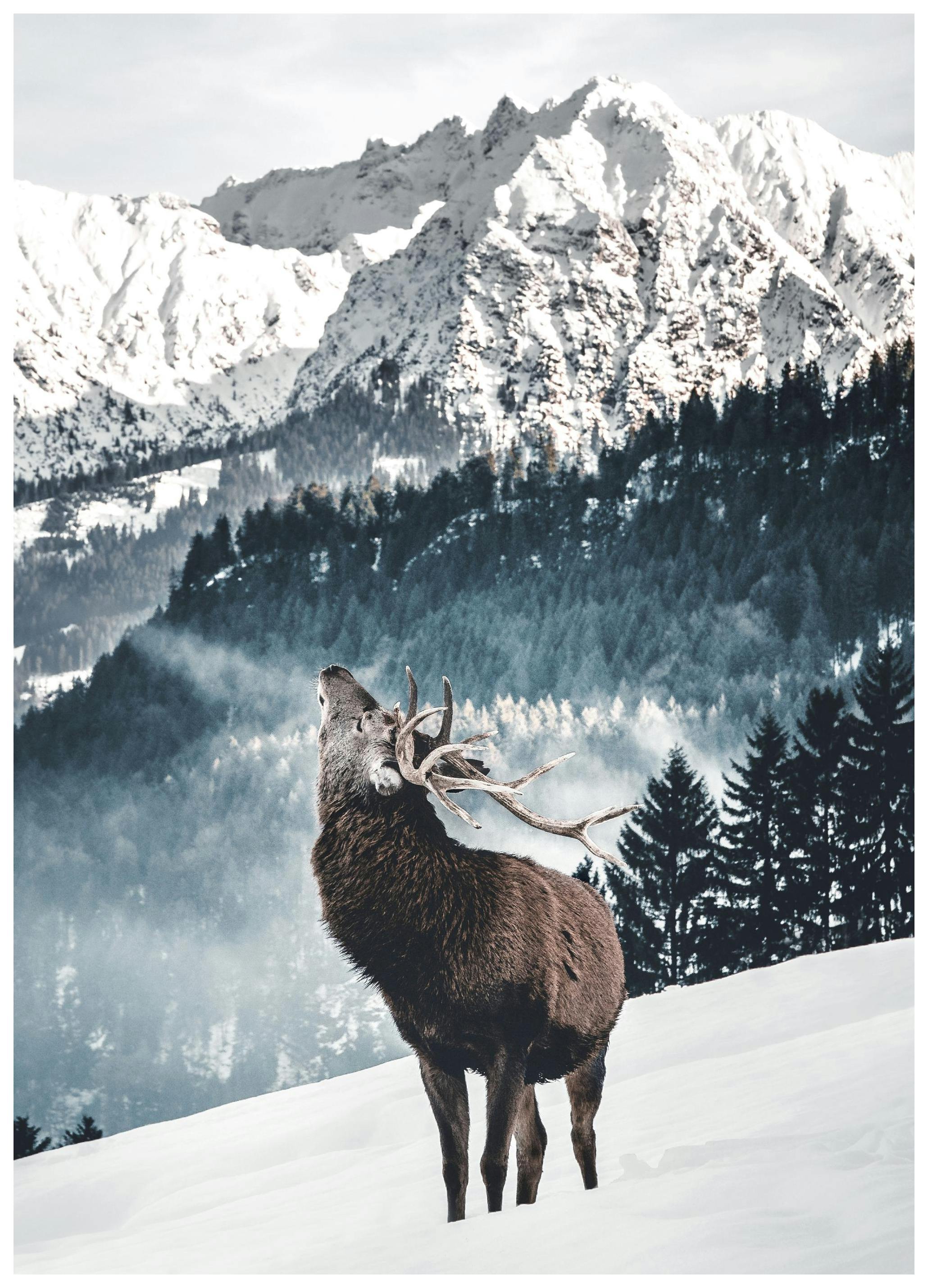 Winter Hert Poster (21x30 cm) - Poster Store