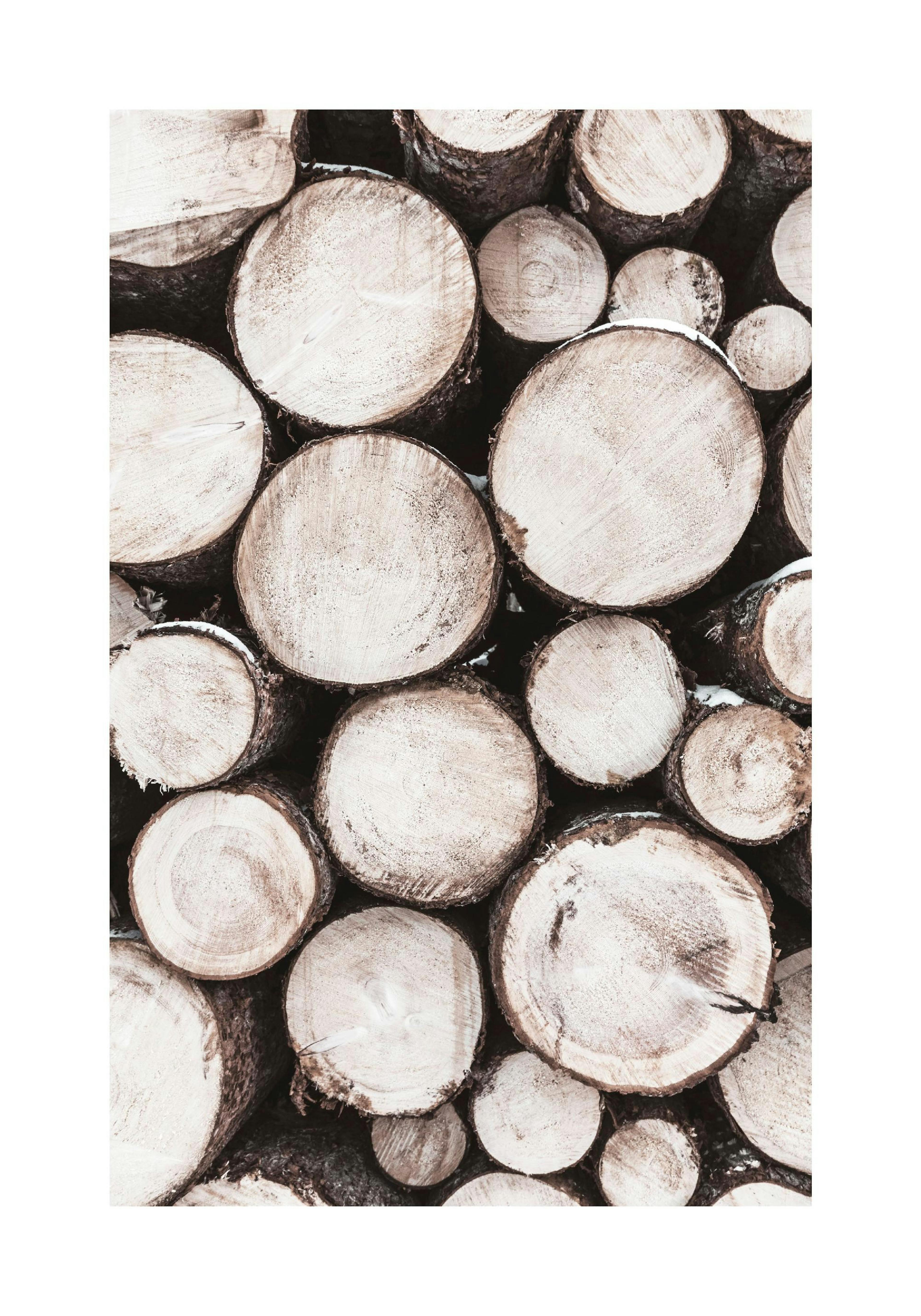 Holzstapel Poster thumbnail