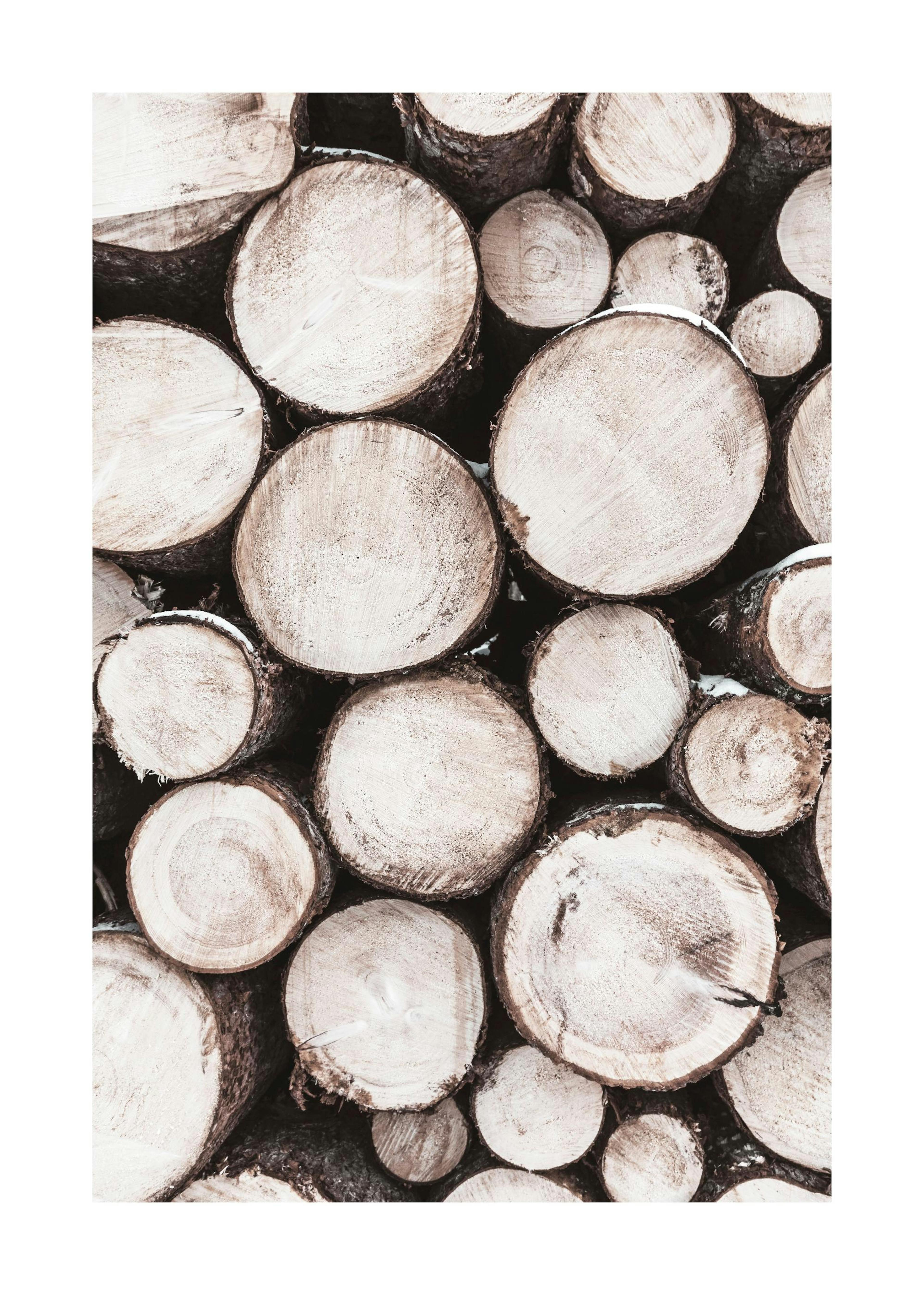 Holzstapel Poster
