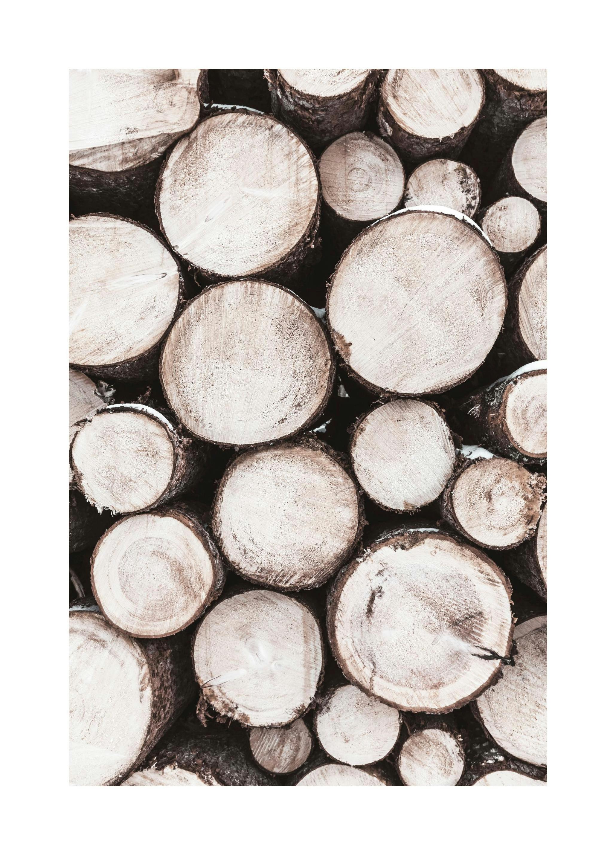 Houtstapel Poster (40x50 cm) - Poster Store