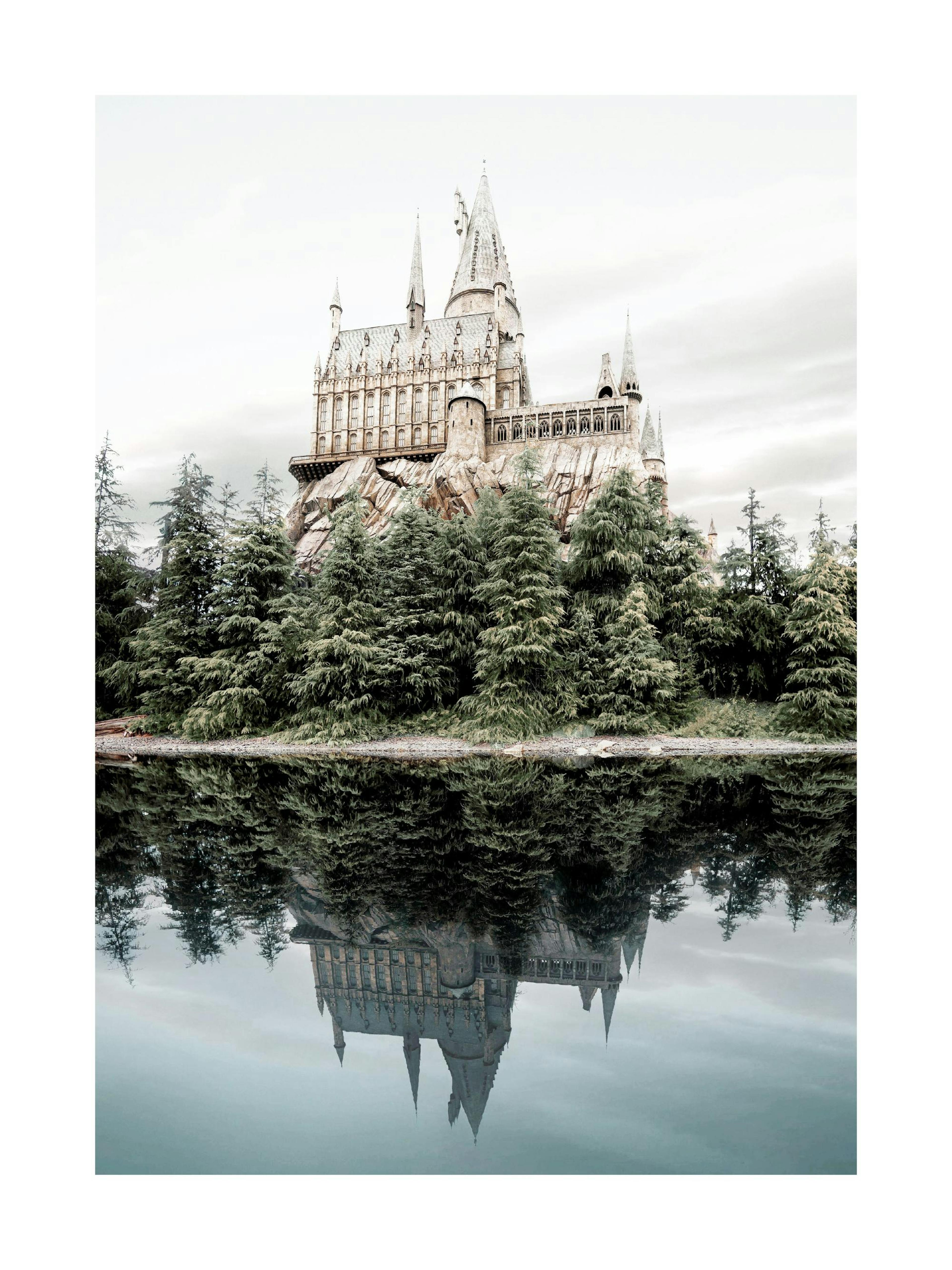 Château de la Magie Poster thumbnail