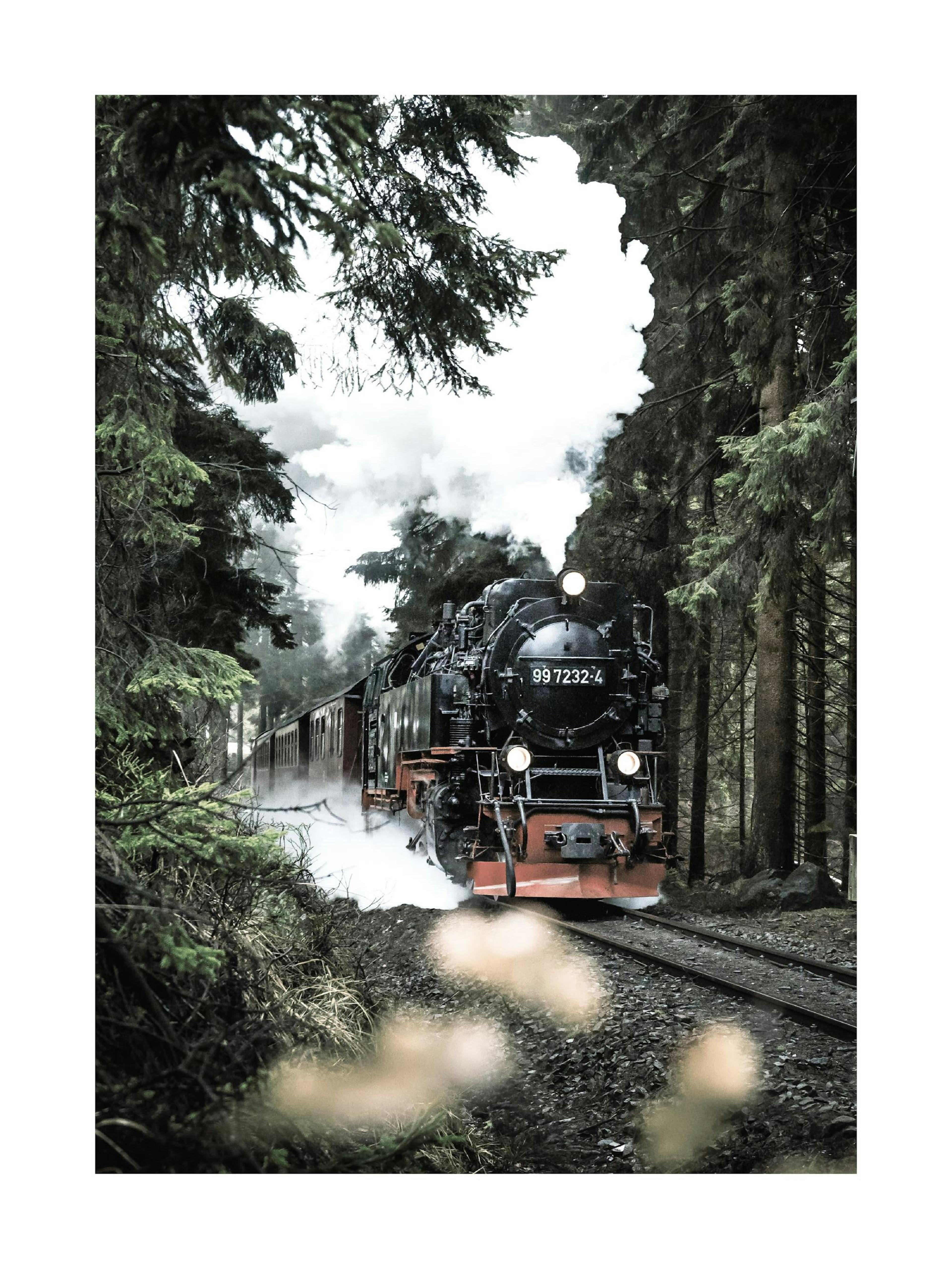 Train à Vapeur Magique Poster 0