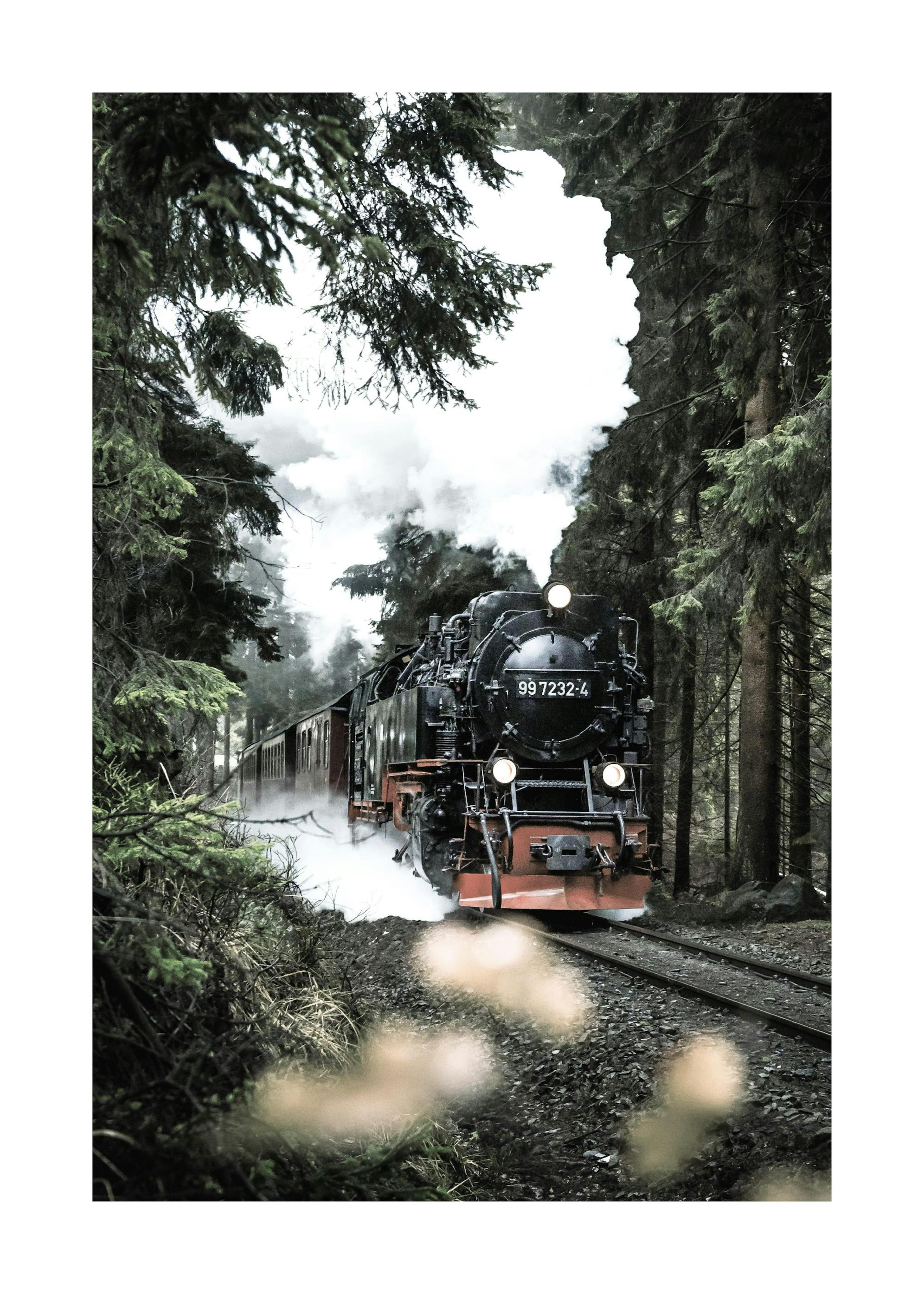 Magical Steam Train Poster 0