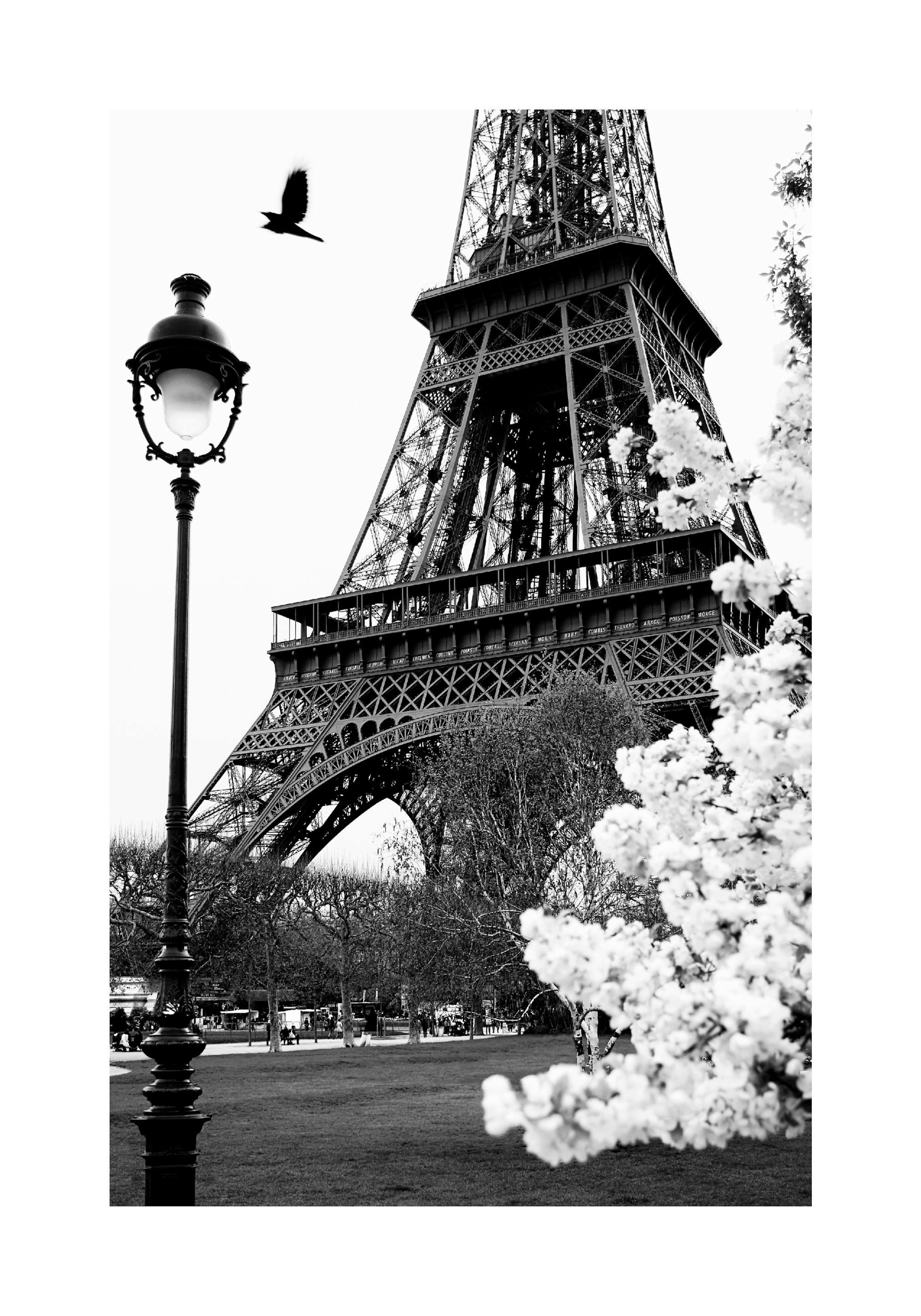Straat in Parijs Poster thumbnail