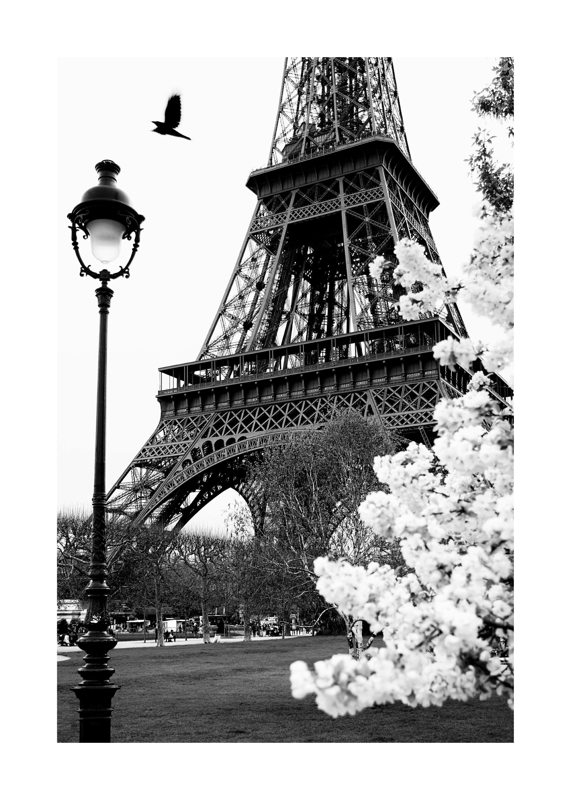Rue de Paris Poster 0
