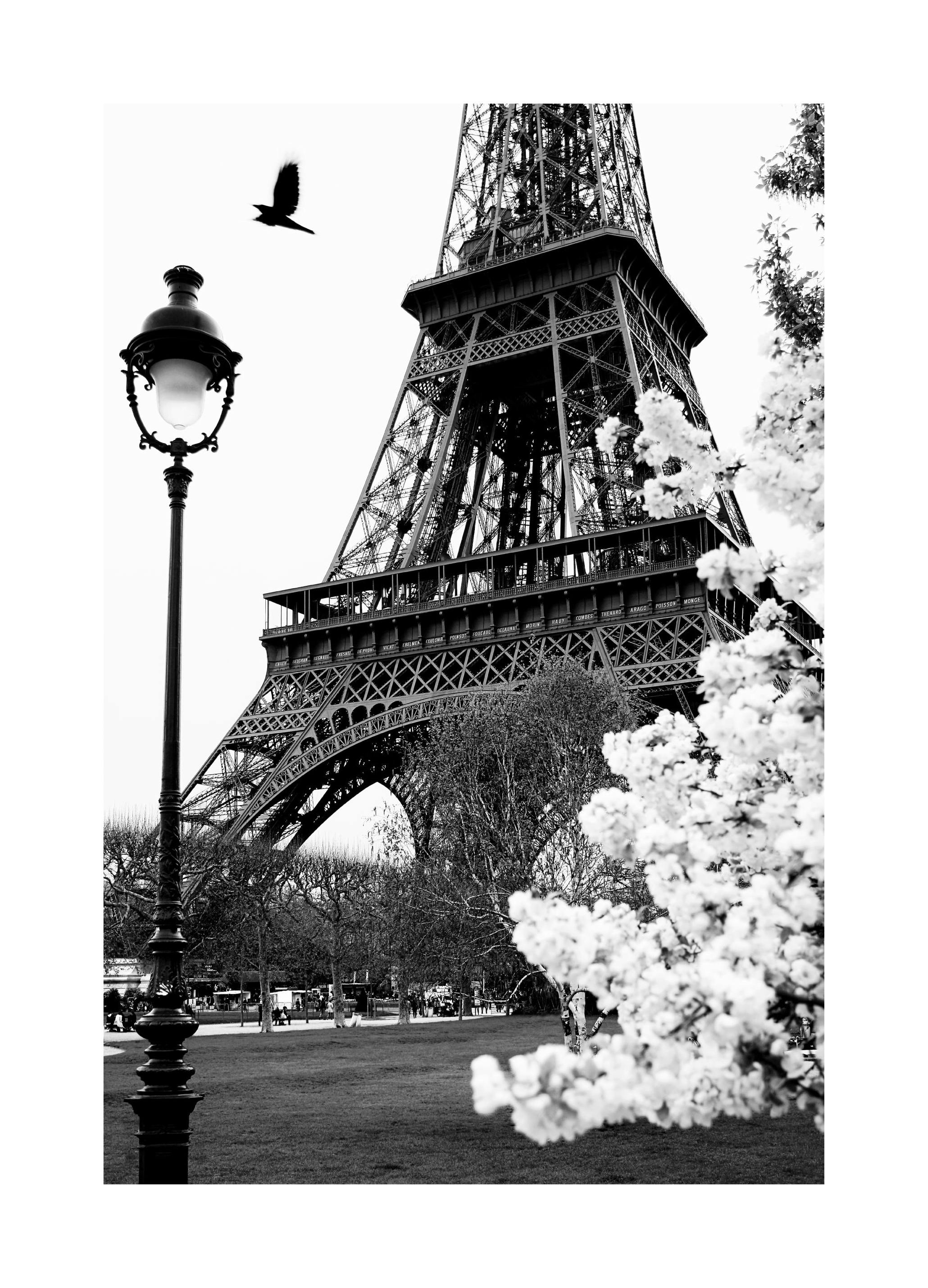 Plakat Paryska Ulica (30x40 cm) - Poster Store