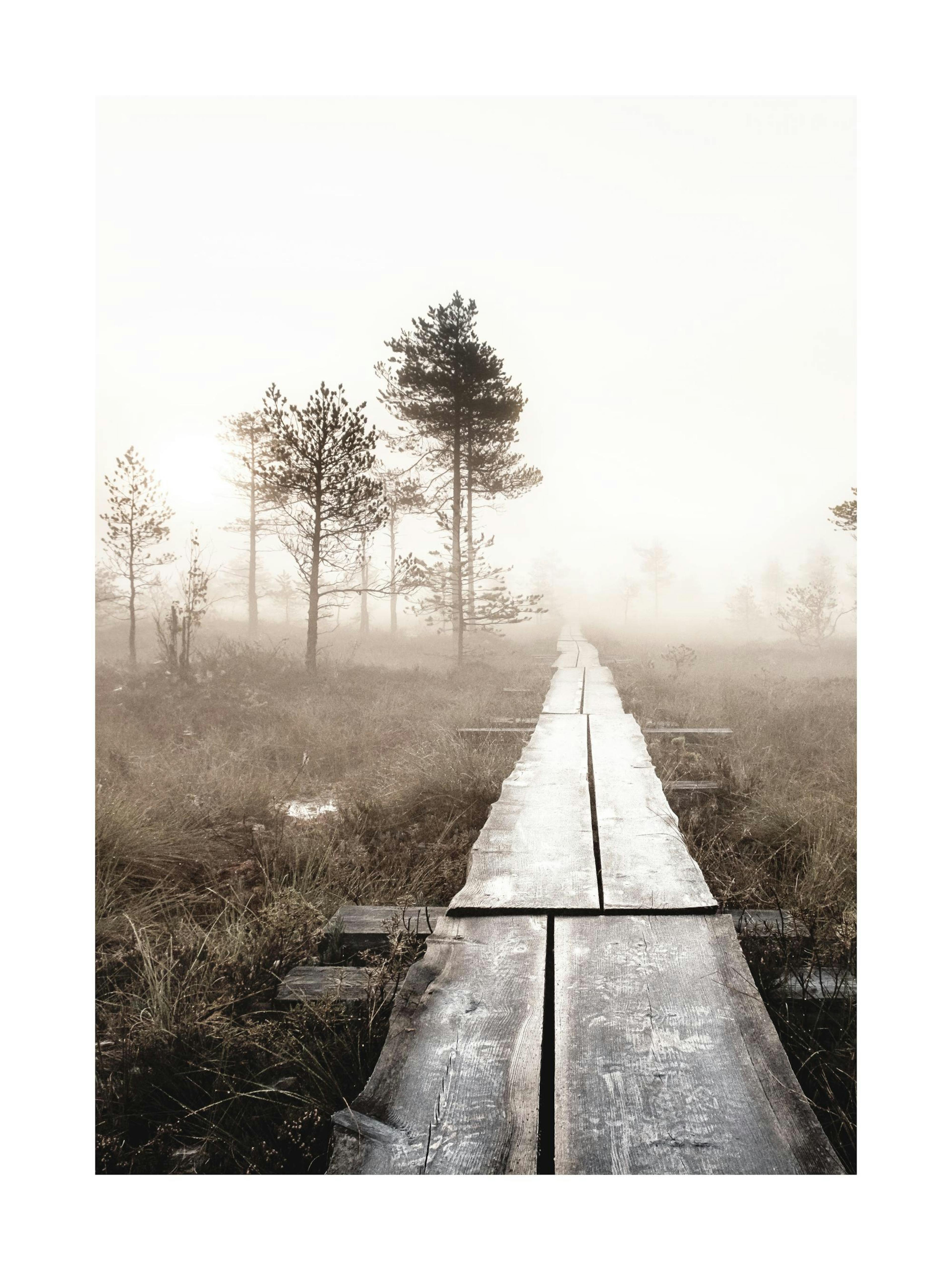 Hiking Path Poster thumbnail